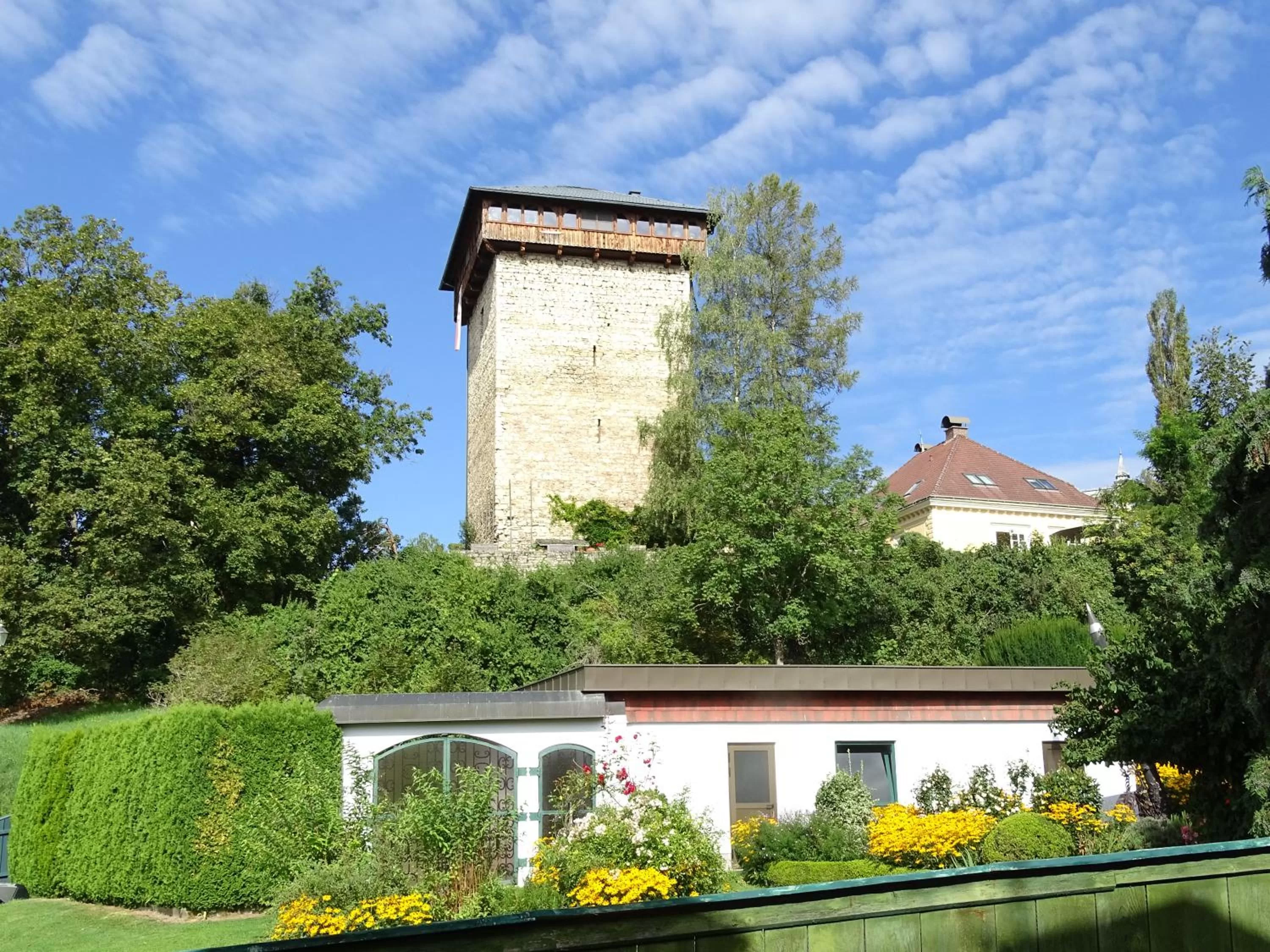 View (from property/room), Property Building in Bed and Breakfast Mittelkärnten
