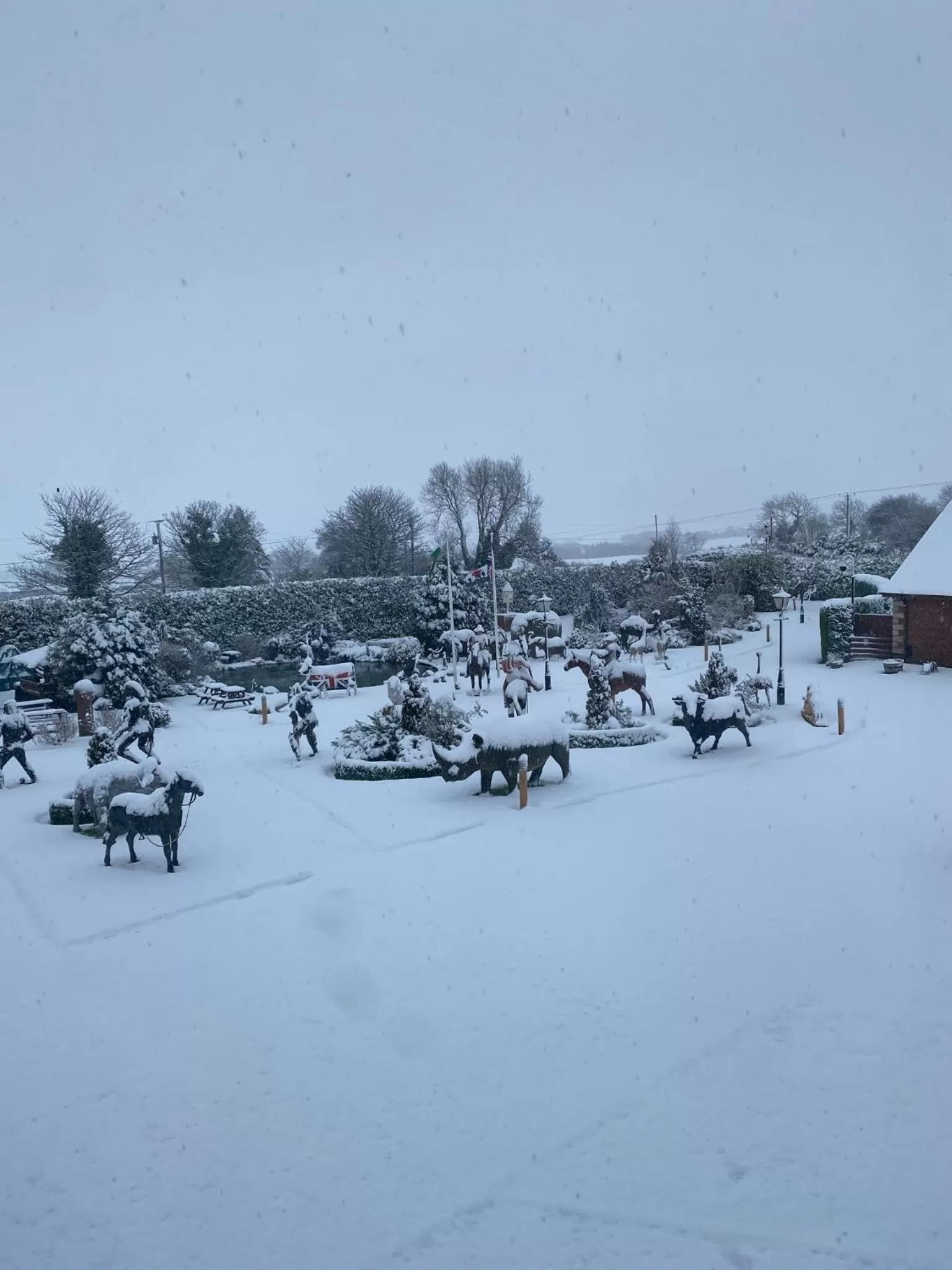 Garden in The Hilltop Haven