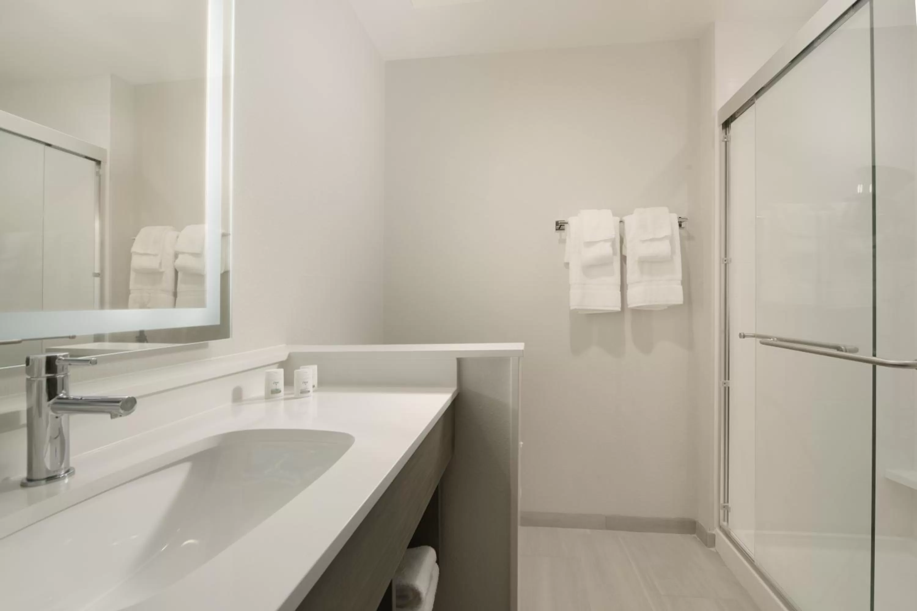Bathroom in Holiday Inn Express & Suites - Williamstown - Glassboro by IHG