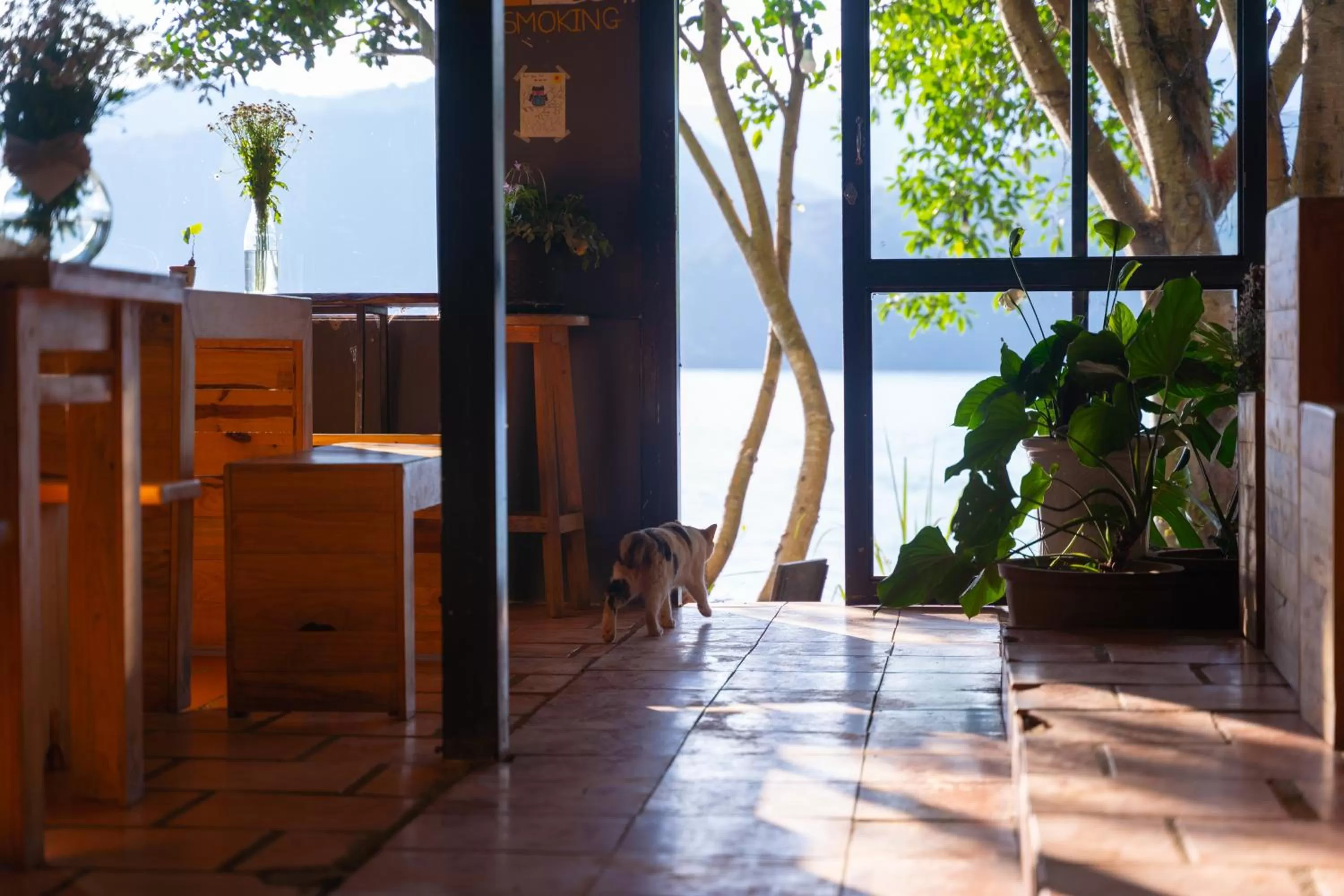 Communal lounge/ TV room in The Lake House Dalat