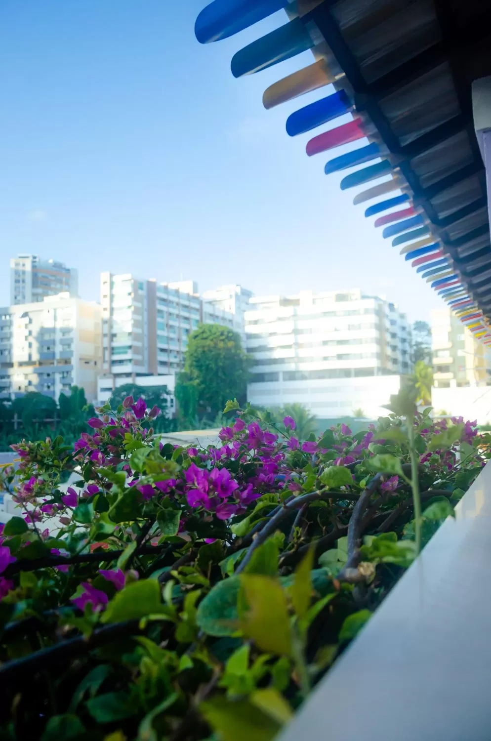 Pousada e Hostel Chez Marianne