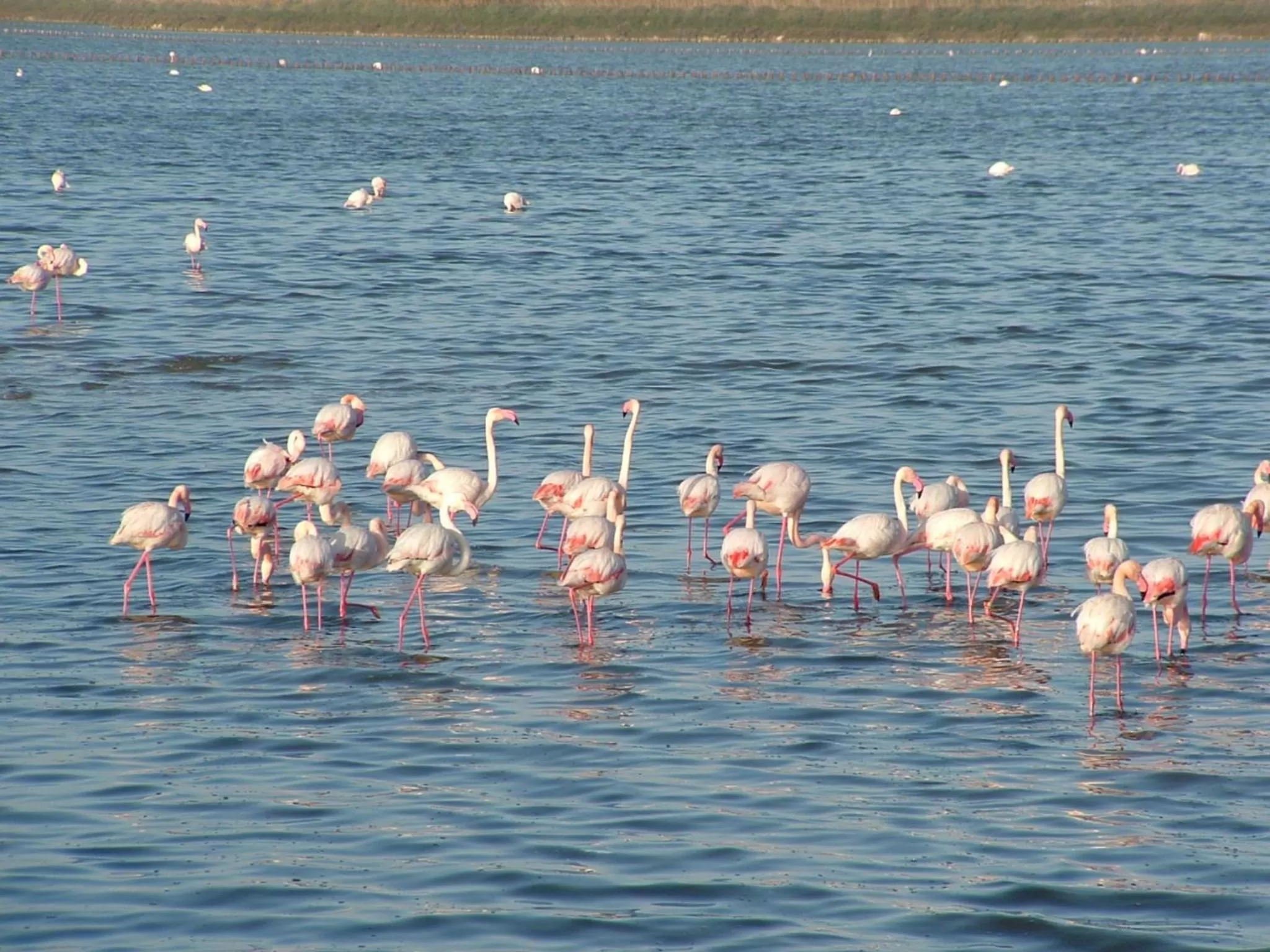 Nearby landmark in Best Western Hotel Residence Italia