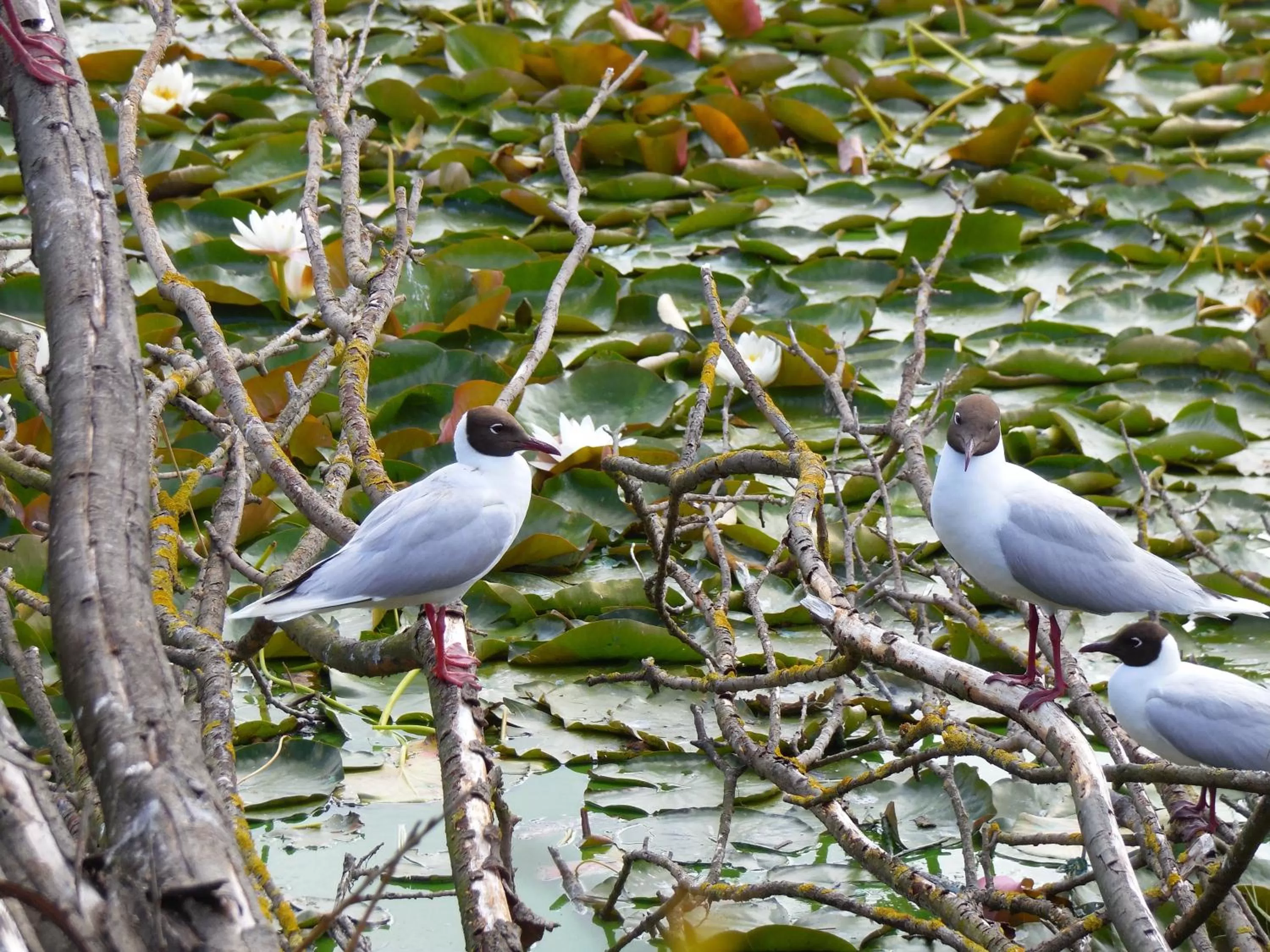 Day in Hotel Boutique Casa Werner
