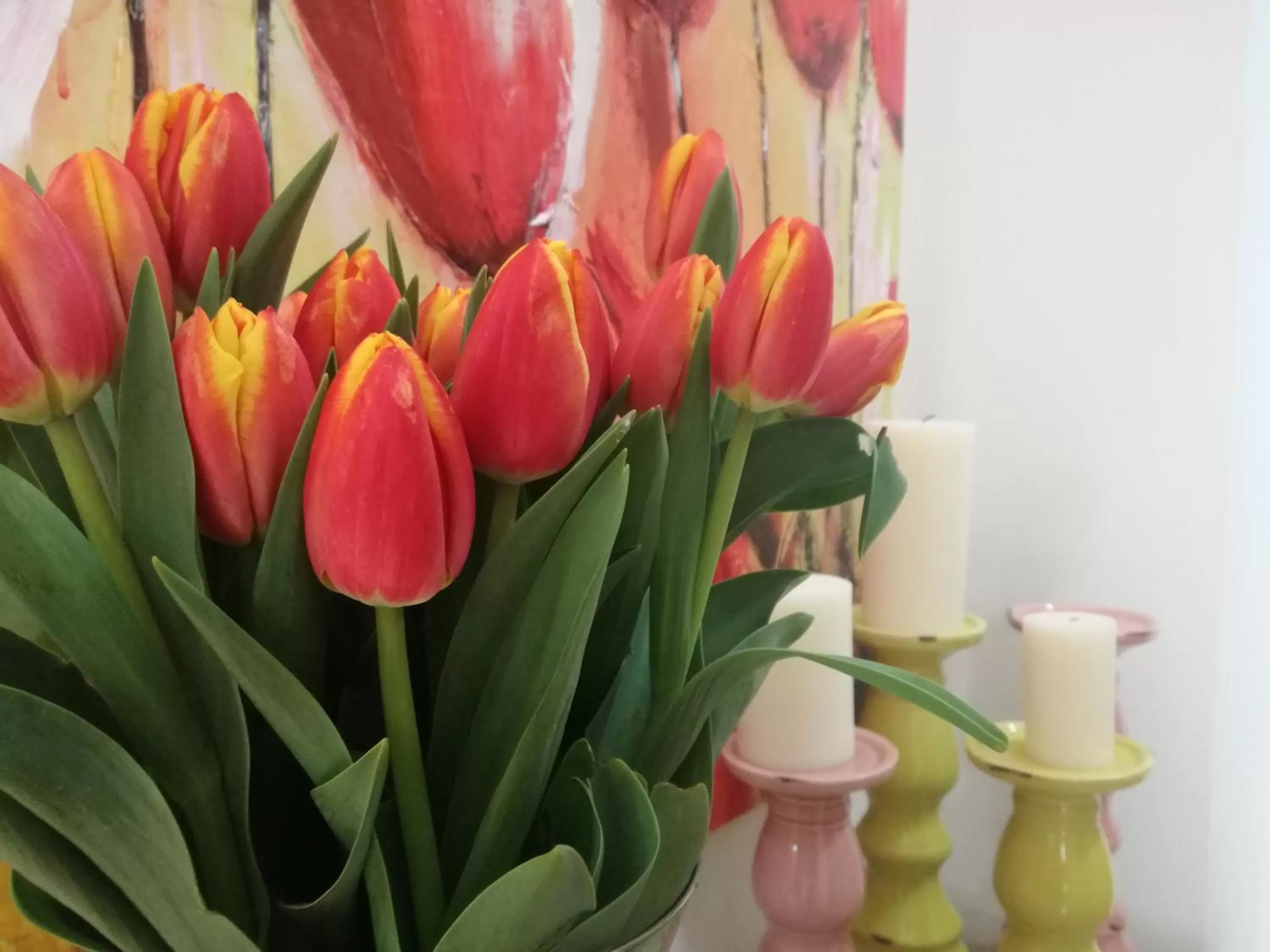 Restaurant/places to eat in Casa del Corso