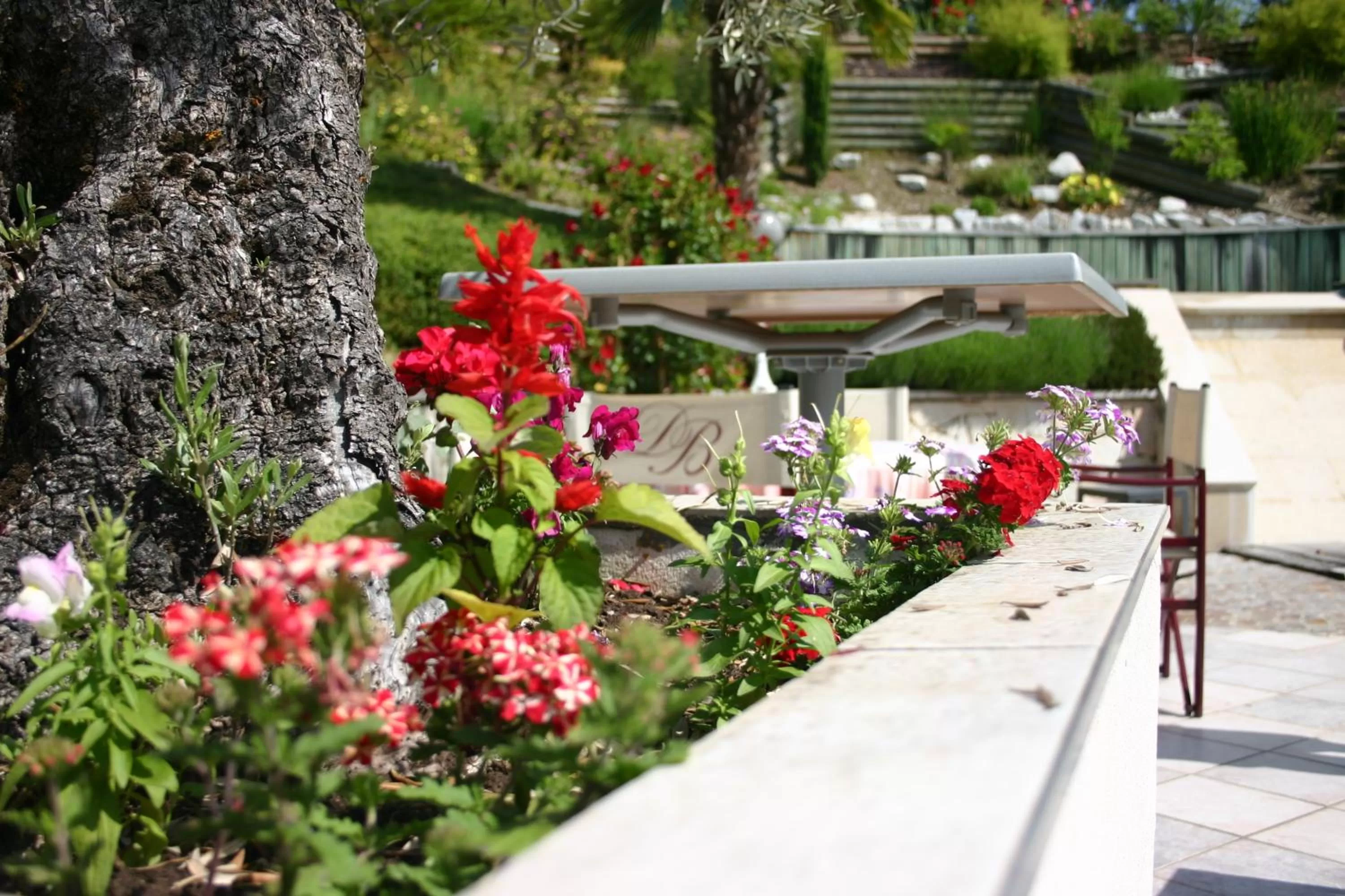 Patio in Hotel Blanc