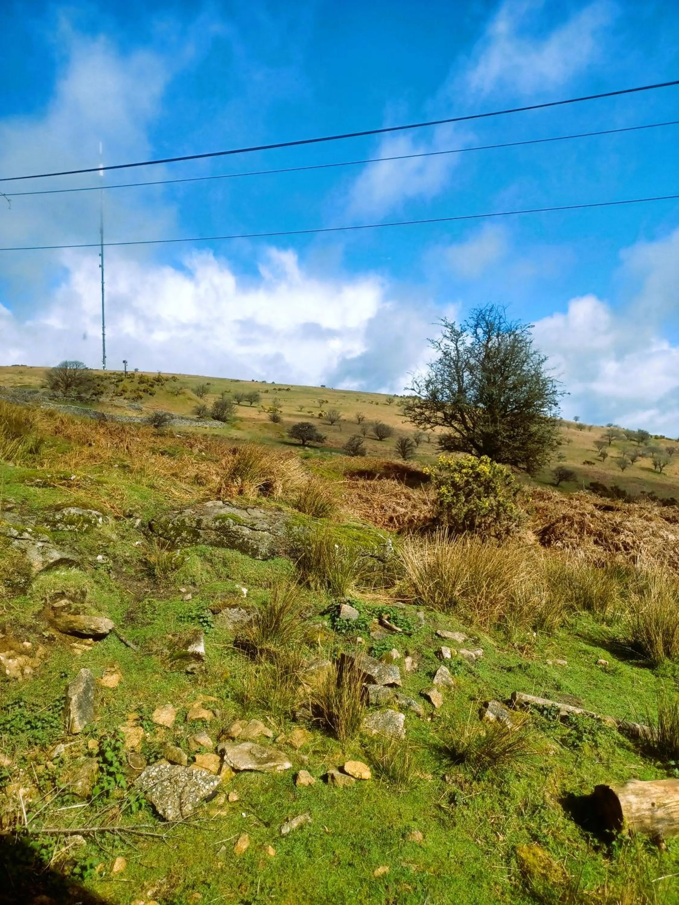 Natural landscape in Wheal Tor Hotel & Glamping