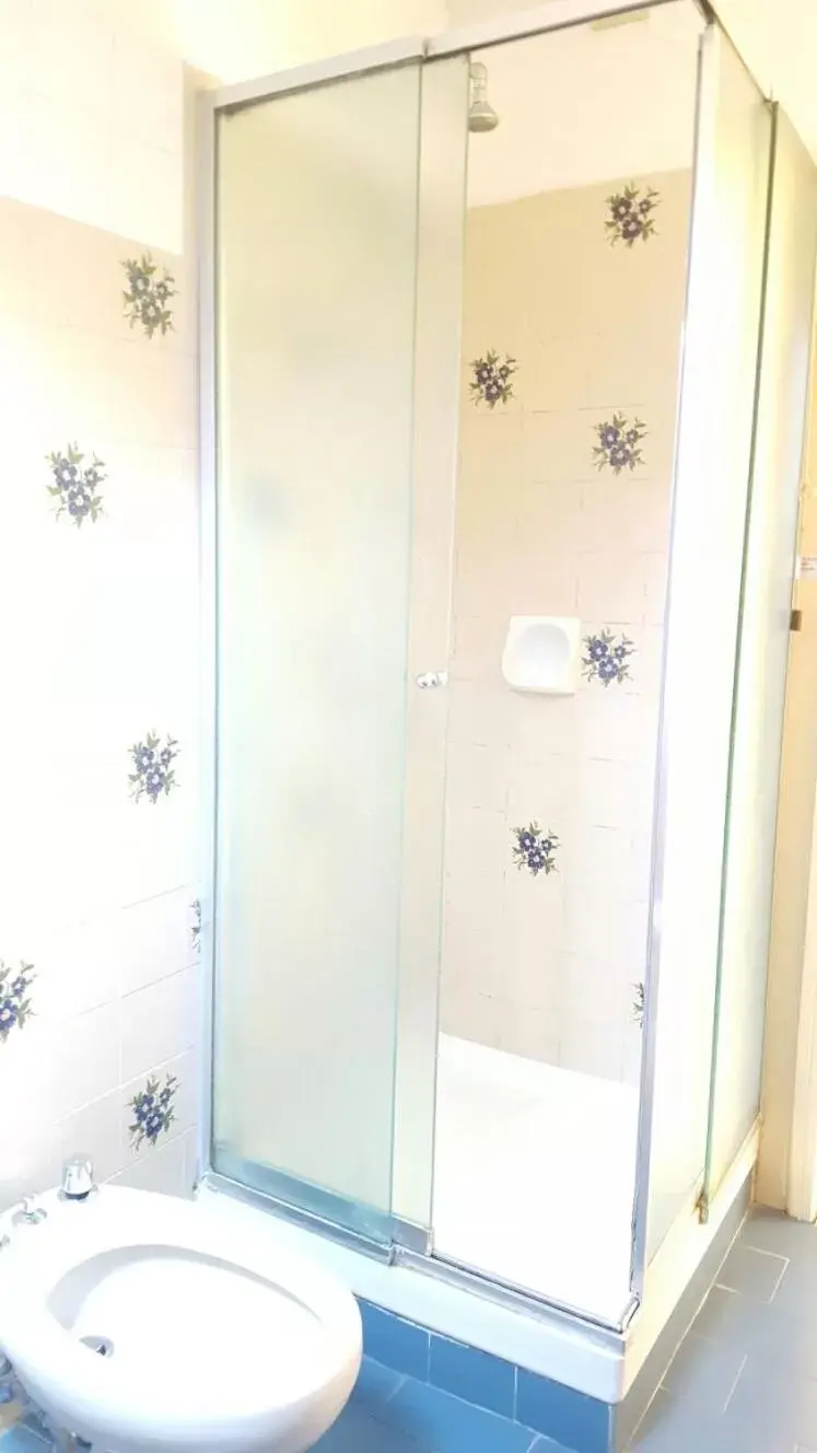 Single Room - single occupancy in Albergo Savoia Single Room - single occupancy in Albergo Savoia