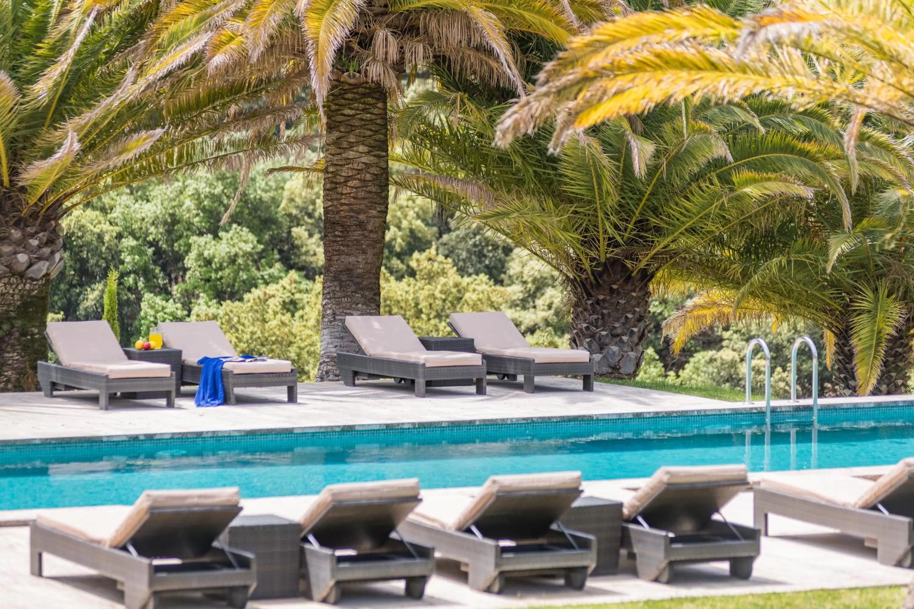 Garden in Monnàber Vell