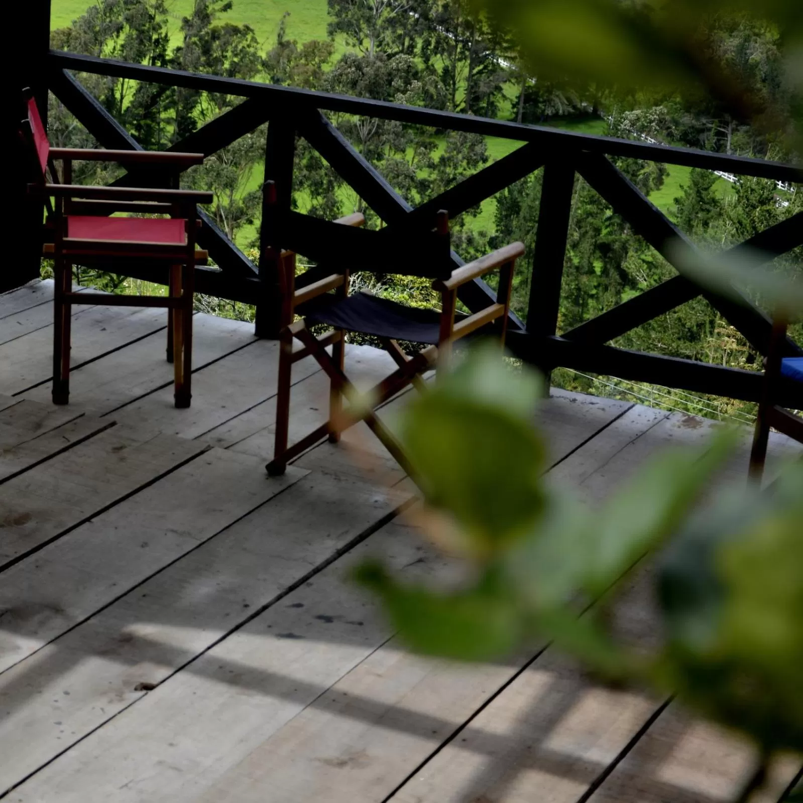 Garden view in El Pedregal Sopó