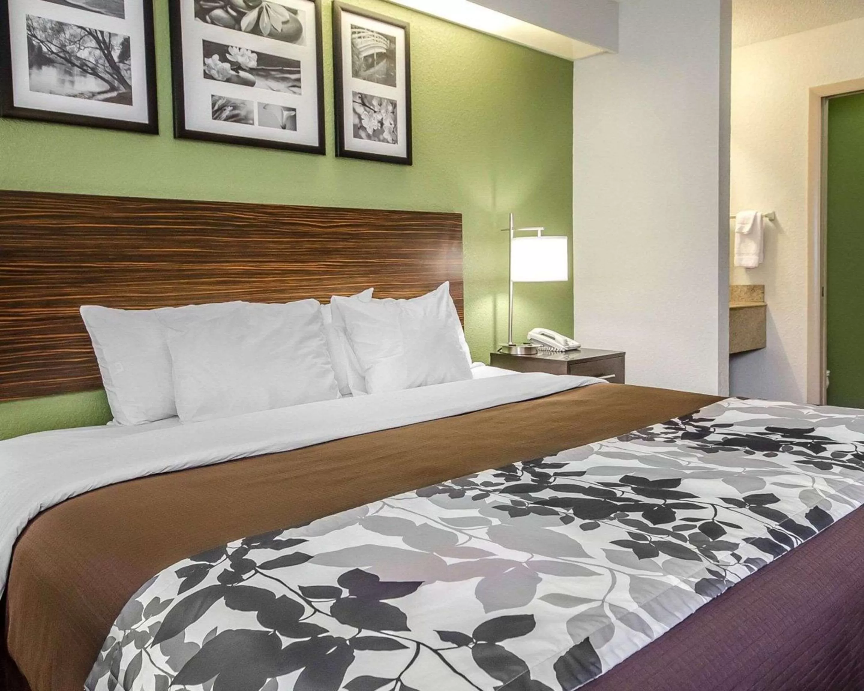 Photo of the whole room in Sleep Inn Louisville Airport & Expo