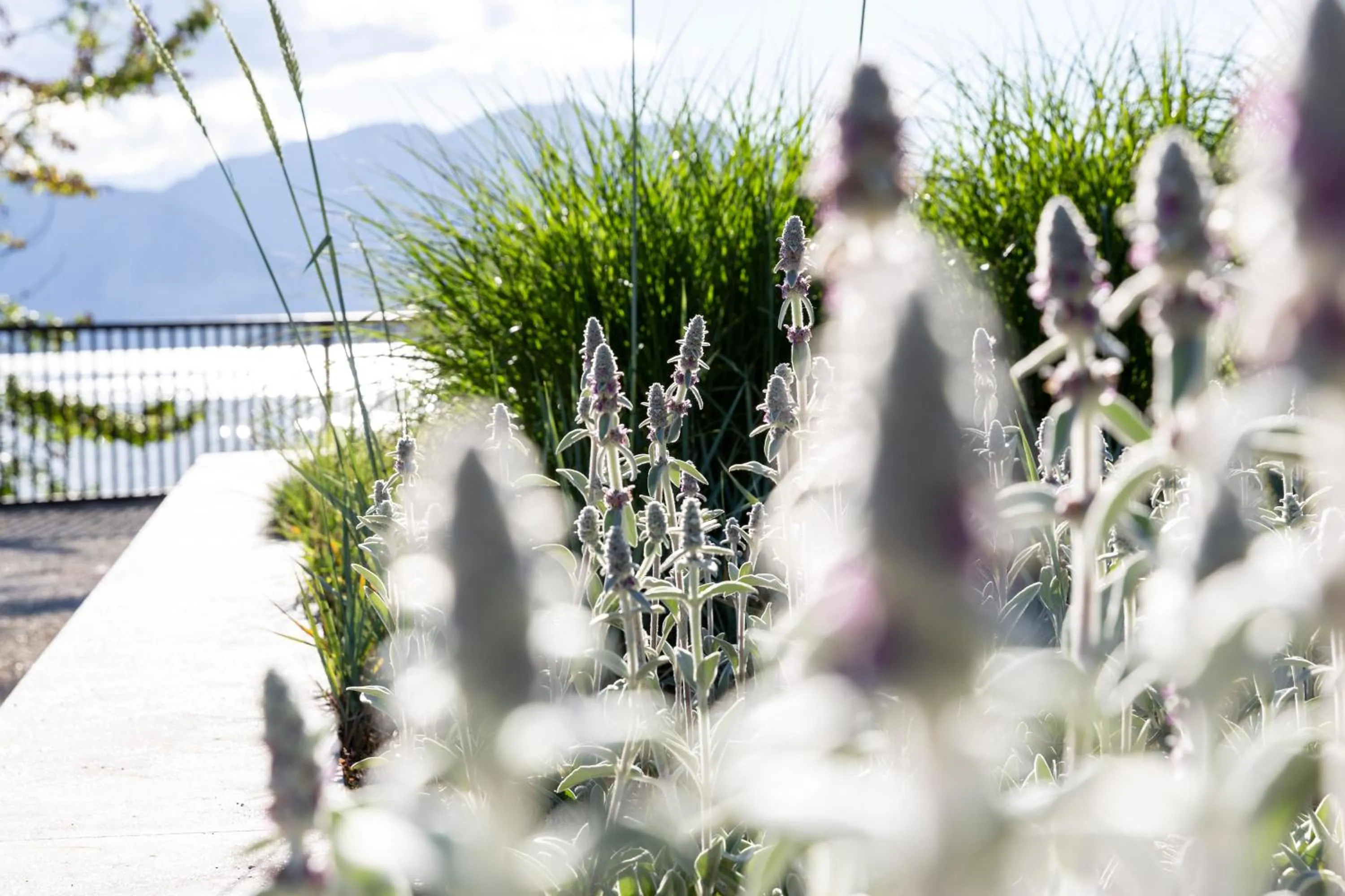 Garden in Hotel de Charme Laveno - Luxury all Inclusive