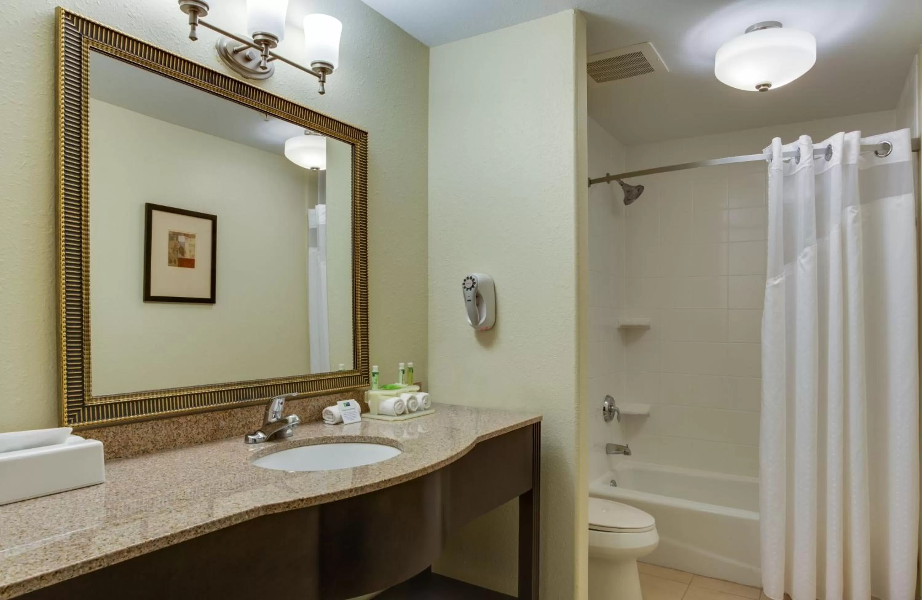 Bathroom in Holiday Inn Express & Suites Moultrie by IHG