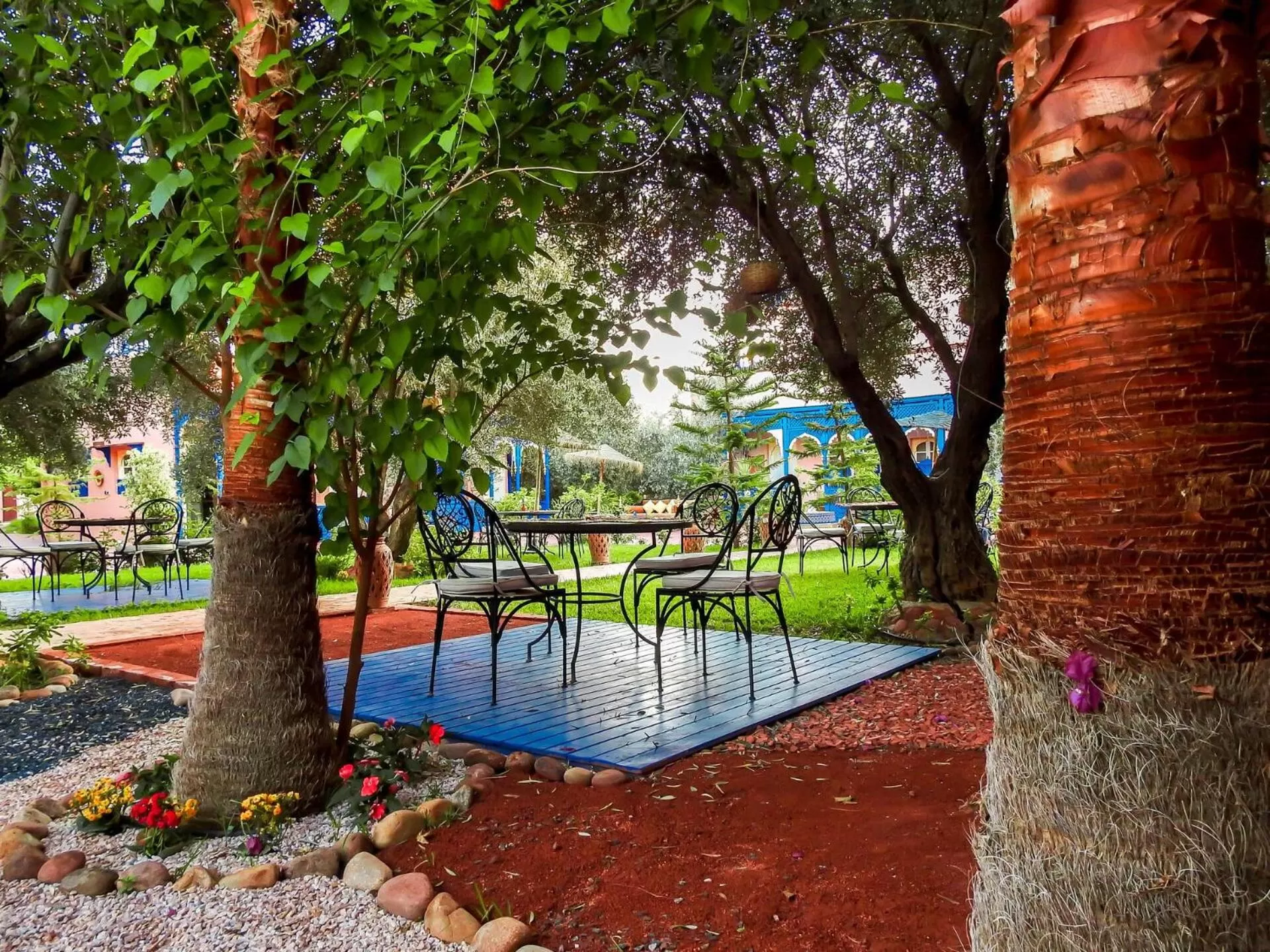 Garden, Swimming Pool in Le Bleu House