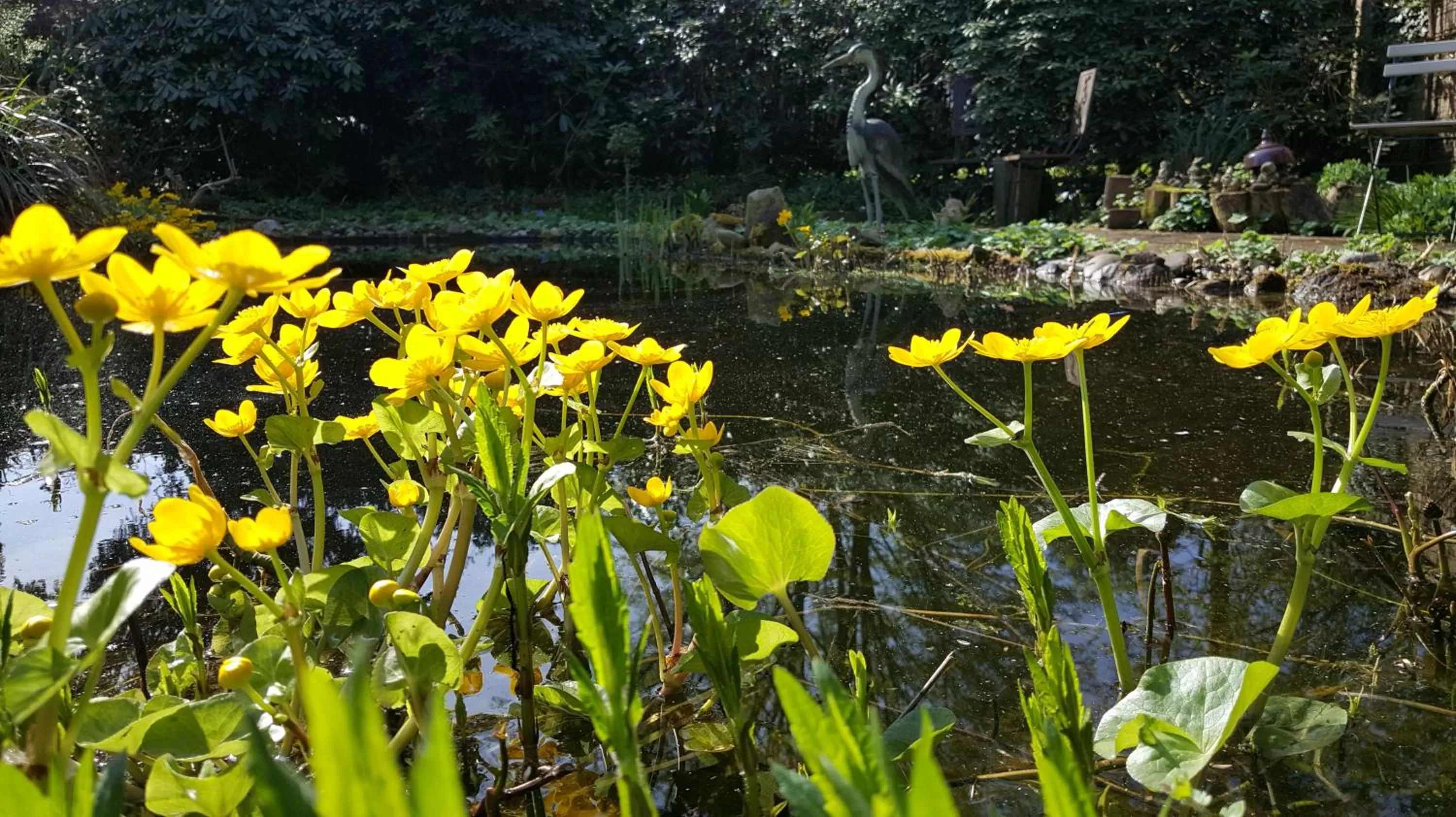 Day, Garden in B&B De Slaperije