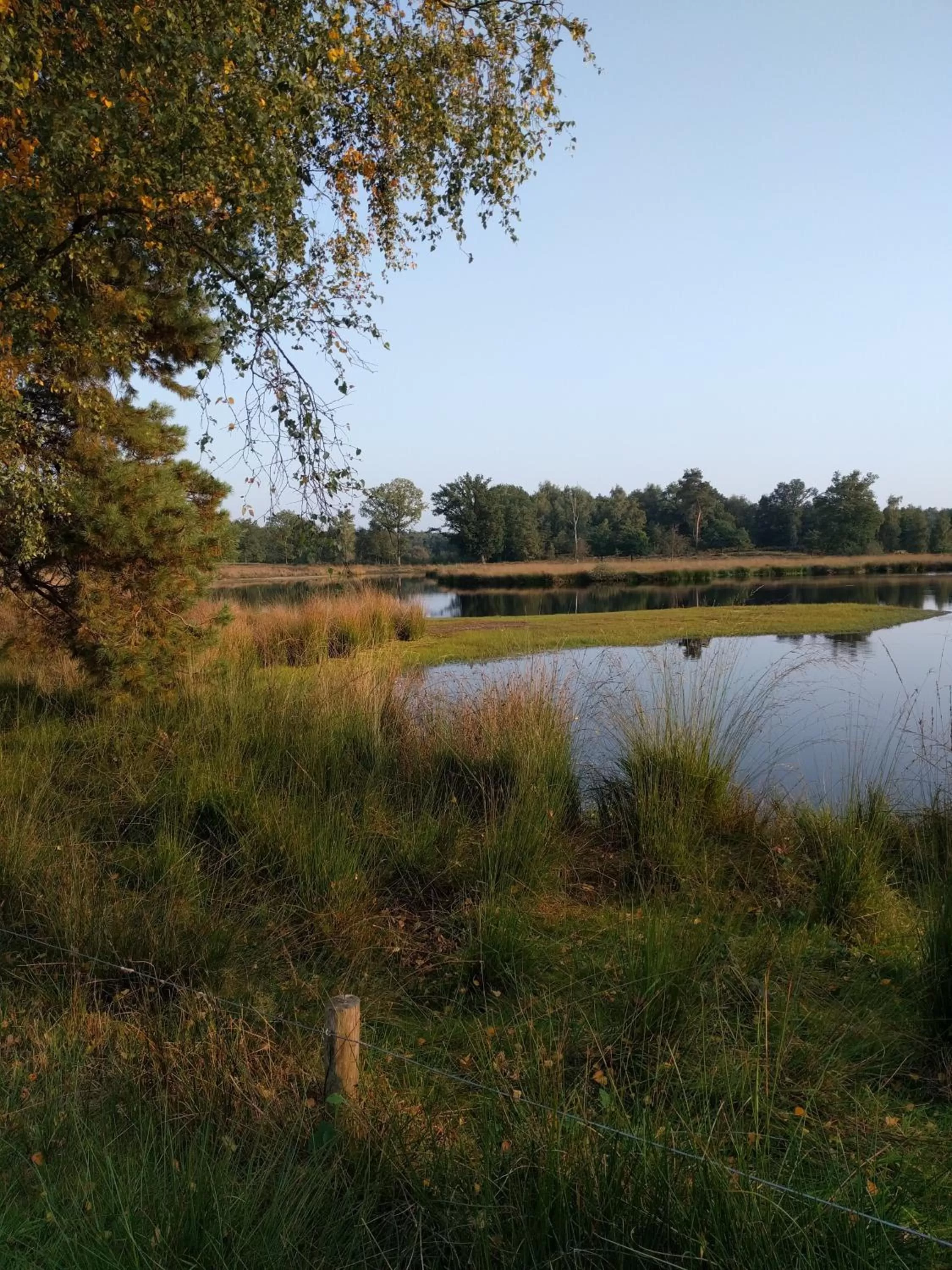 Natural landscape in B&B Agnetenhoeve