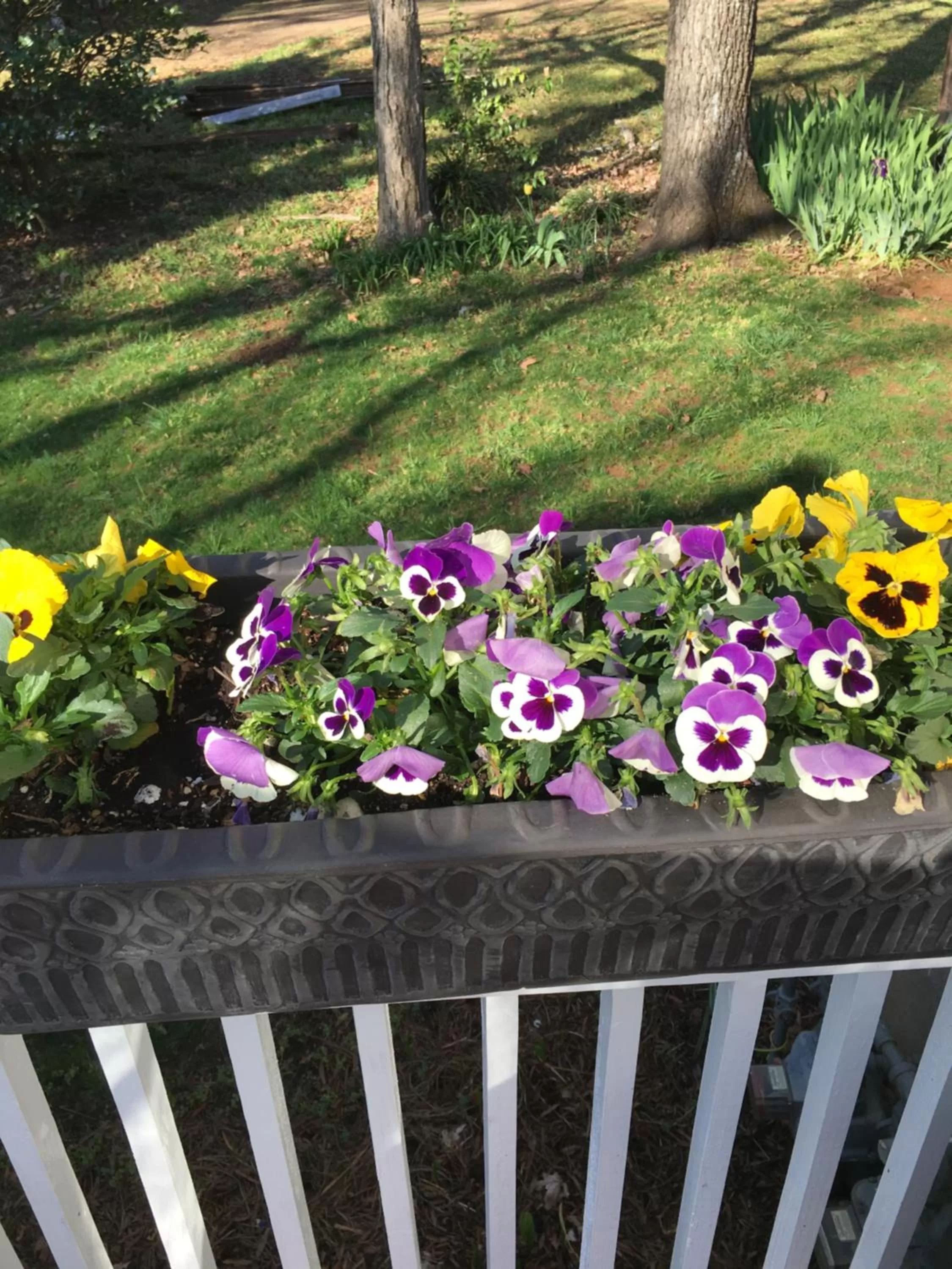 Garden in The Inn on Front Street