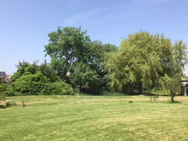 Garden view in Willow Cottage