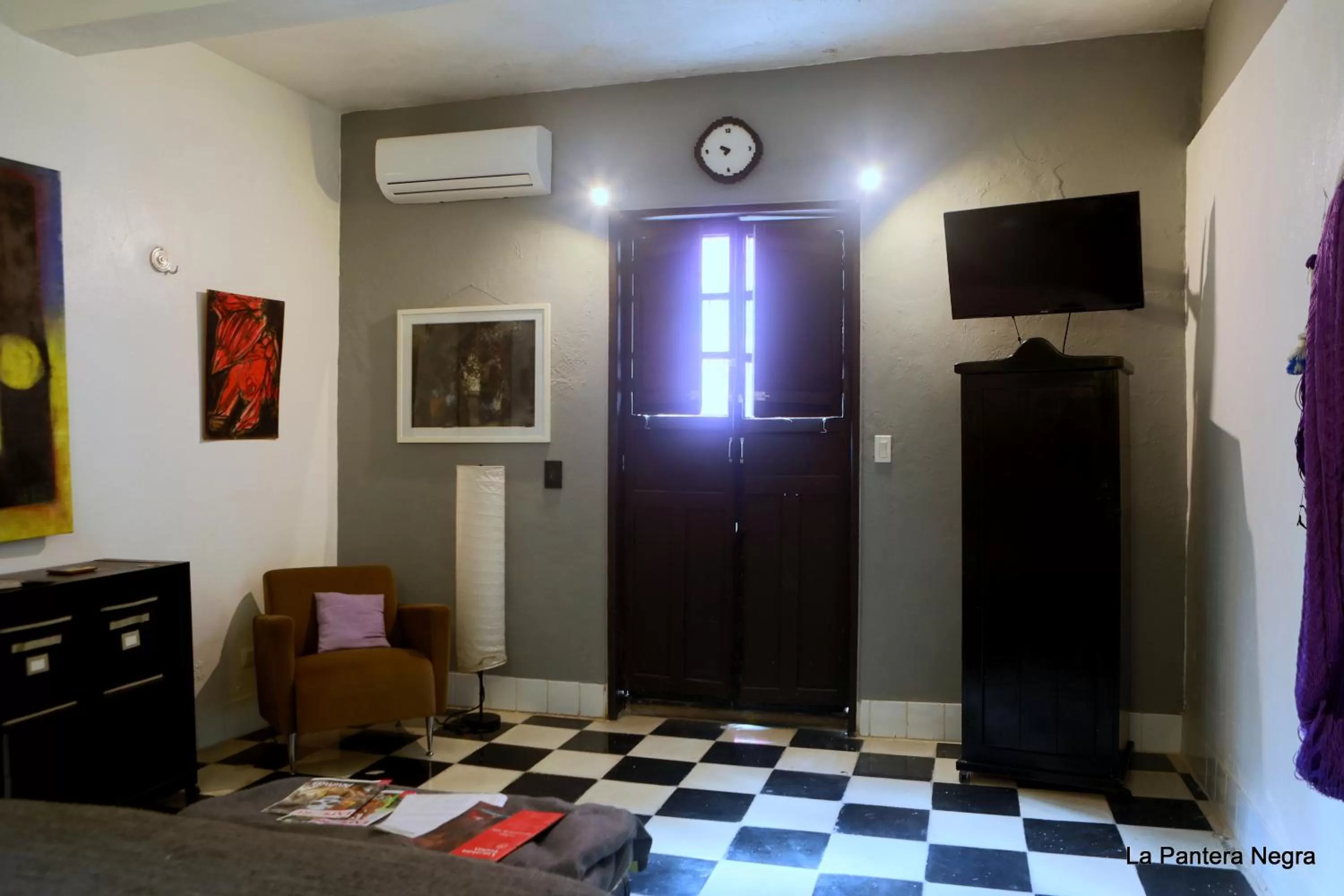 TV and multimedia in La Pantera Negra