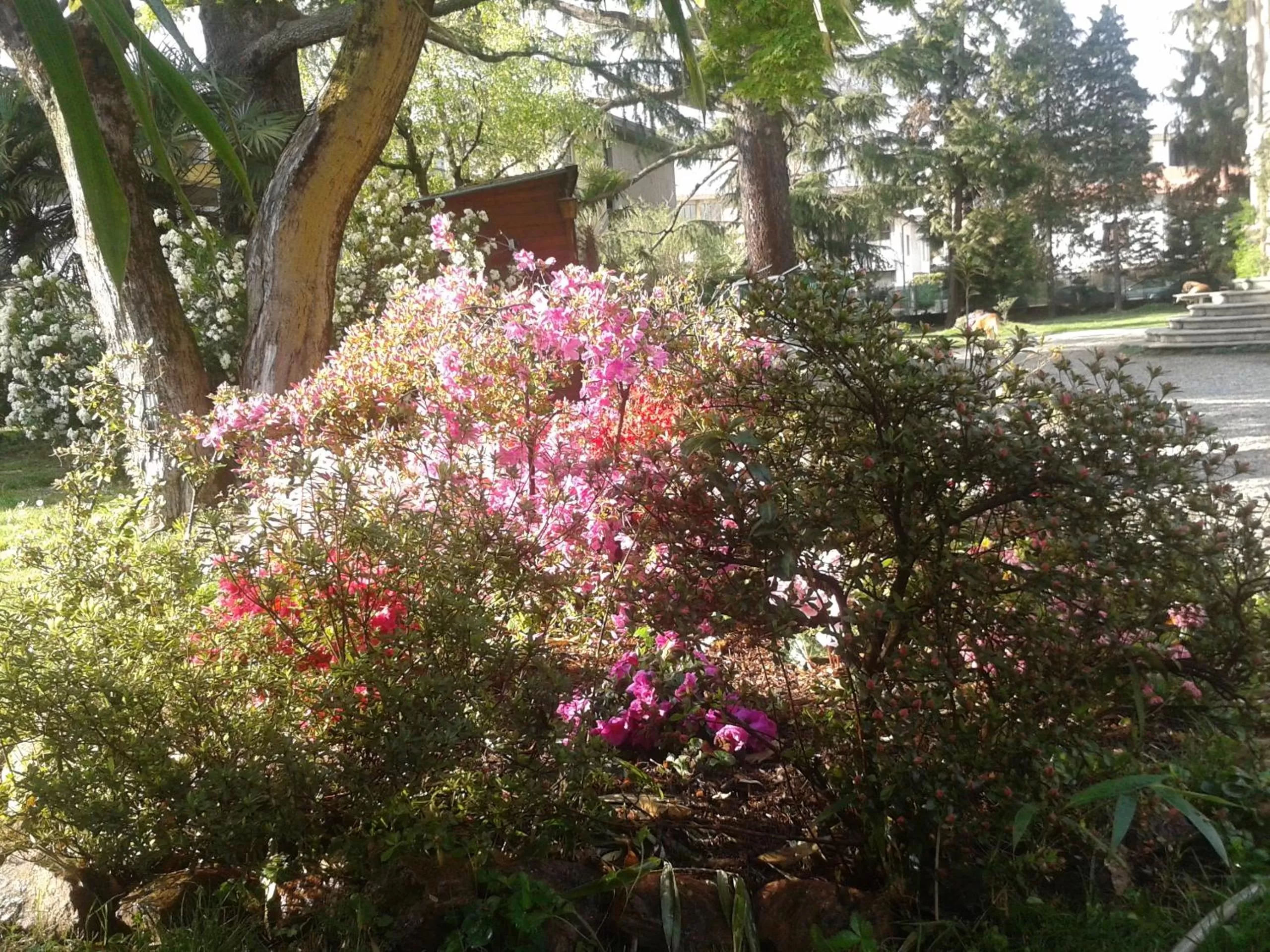 Spring in Invilla B&B