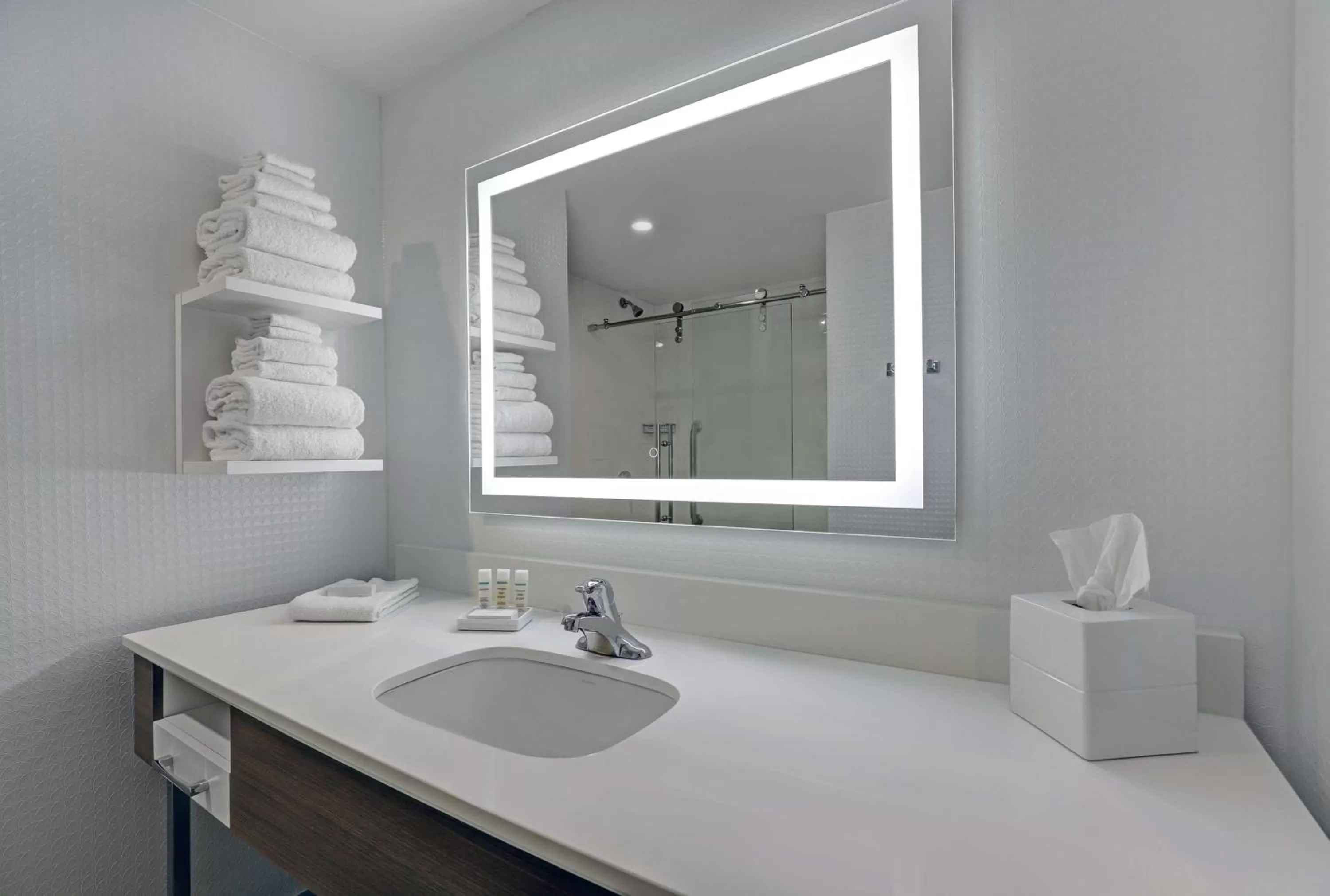 Bathroom in Hampton Inn & Suites Belleville