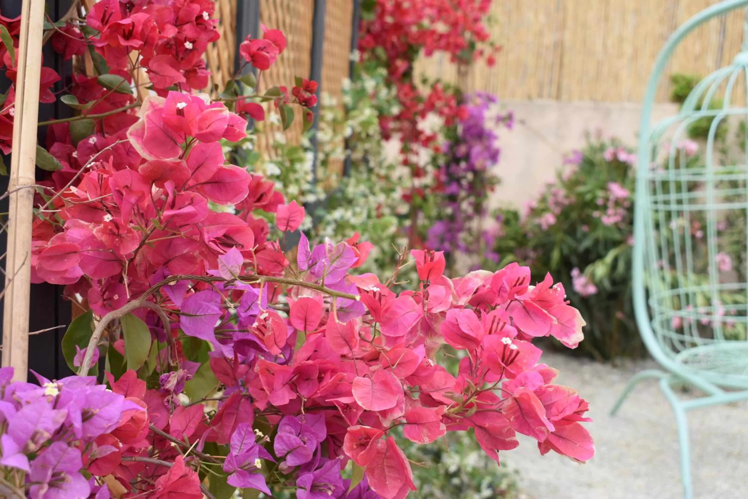 Ten Mallorca - Adults Only