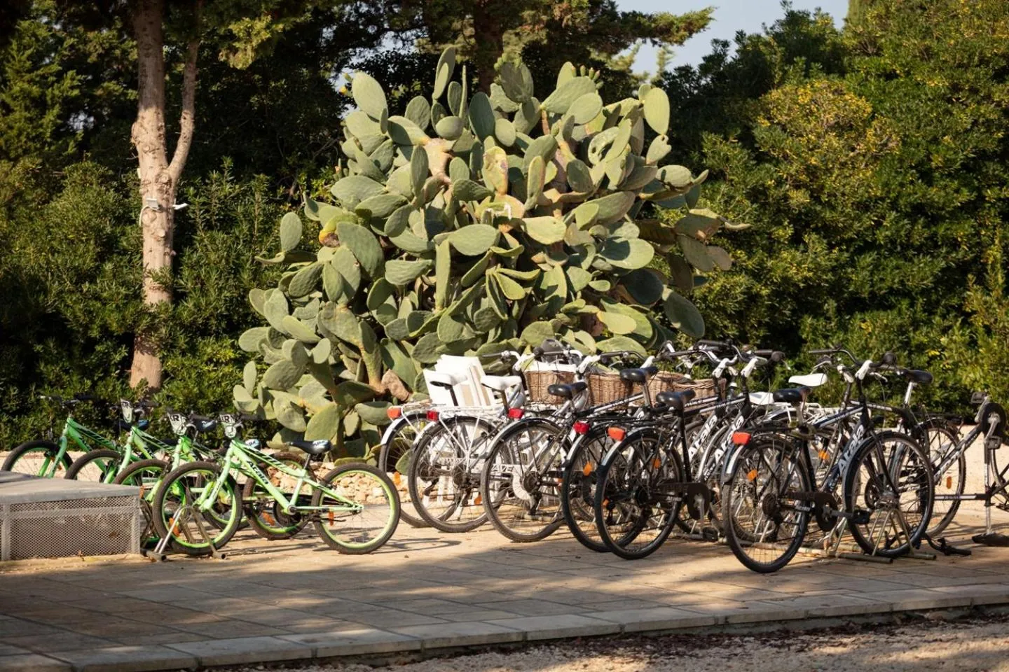 Area and facilities in Masseria Mongiò dell'Elefante