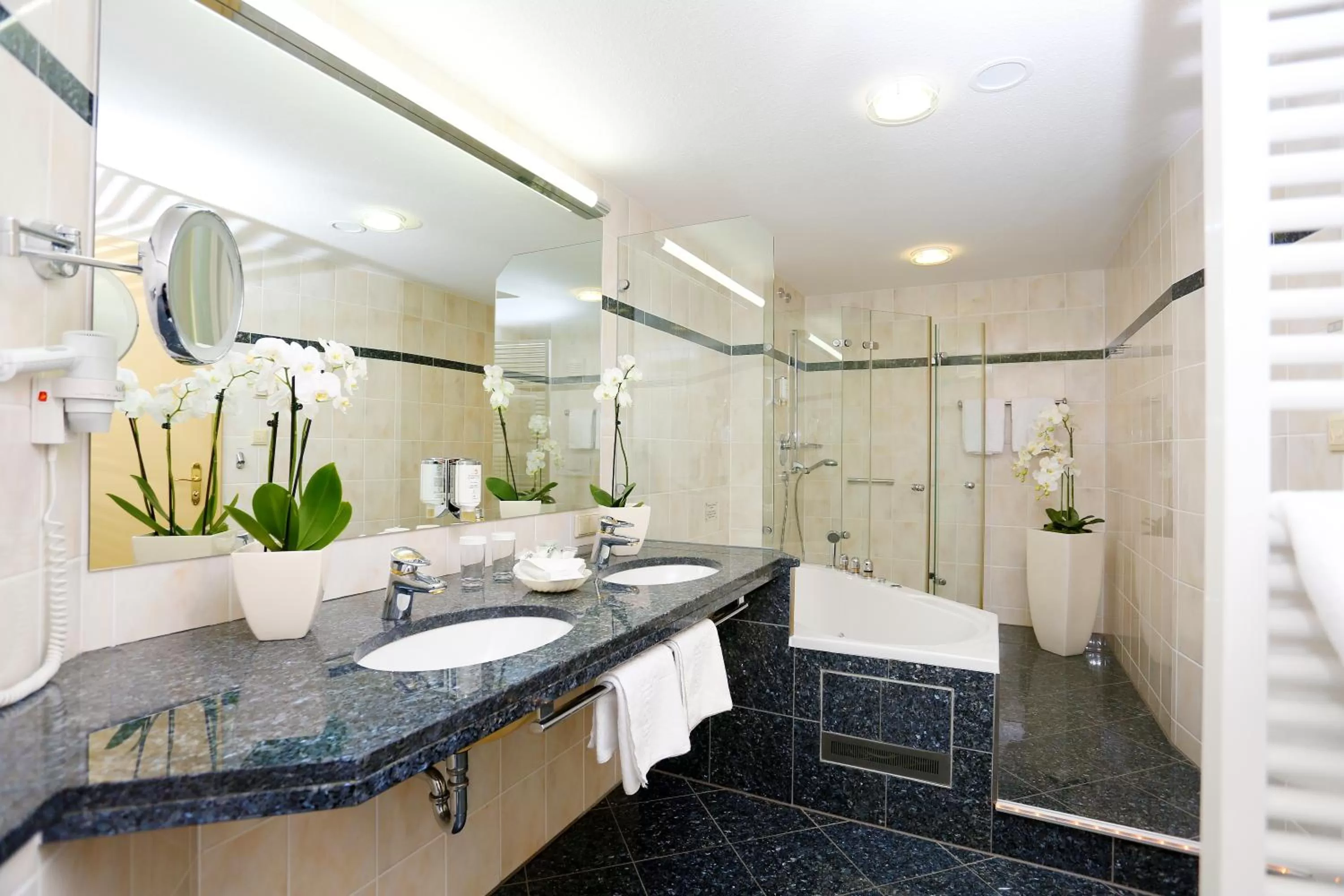 Decorative detail in Ringhotel Weißer Hirsch