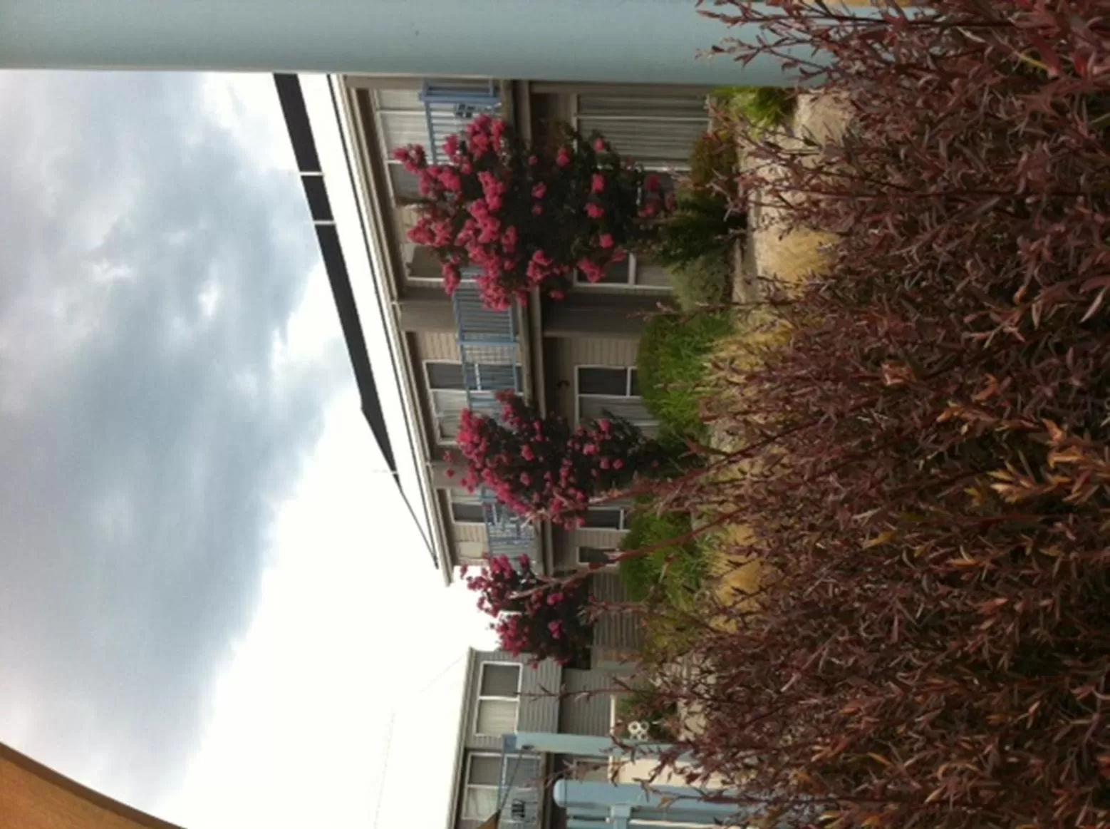 Garden in Quest Williamstown North