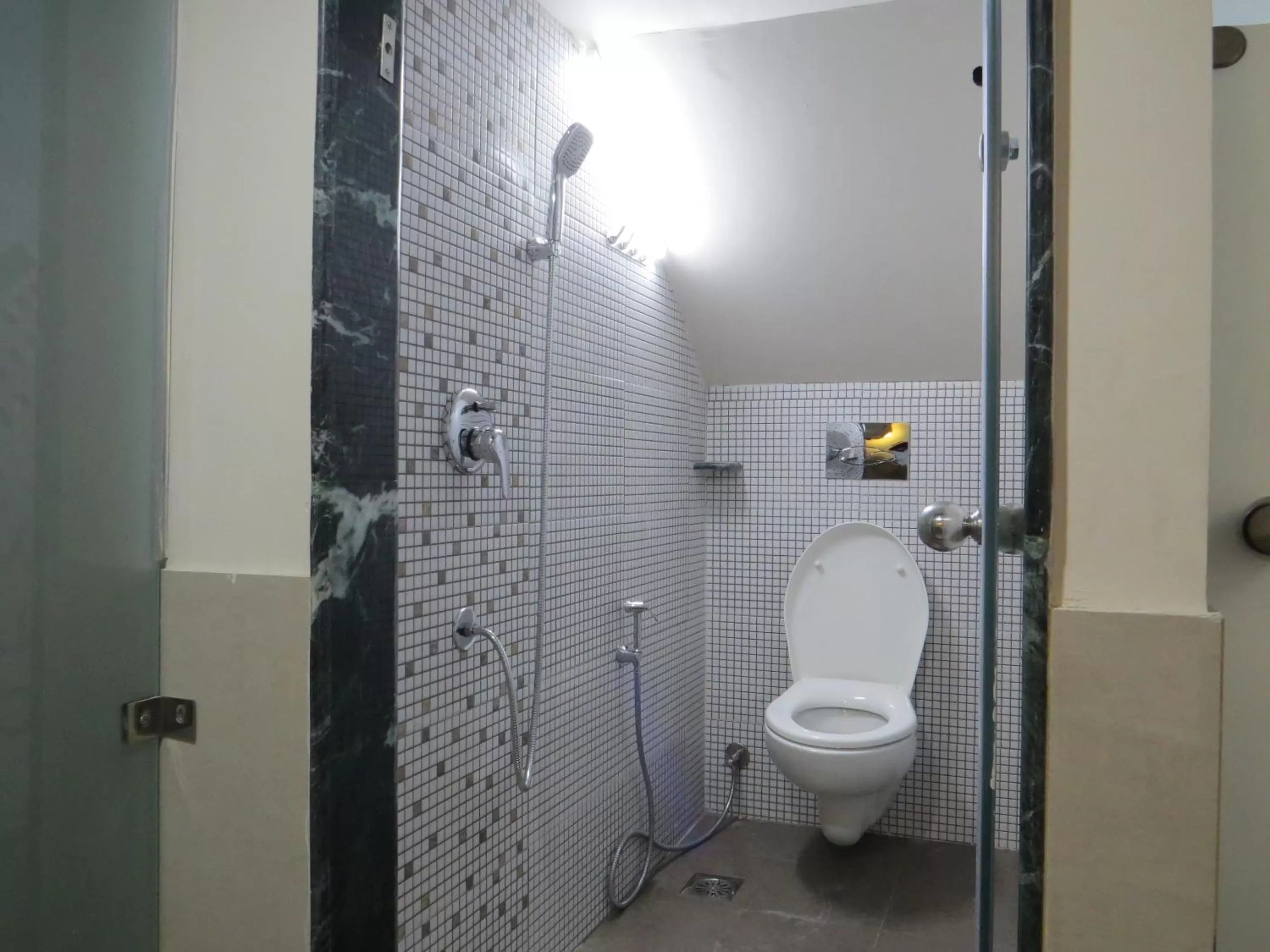 Shower in Smyle Inn - Best Value Hotel near New Delhi Station