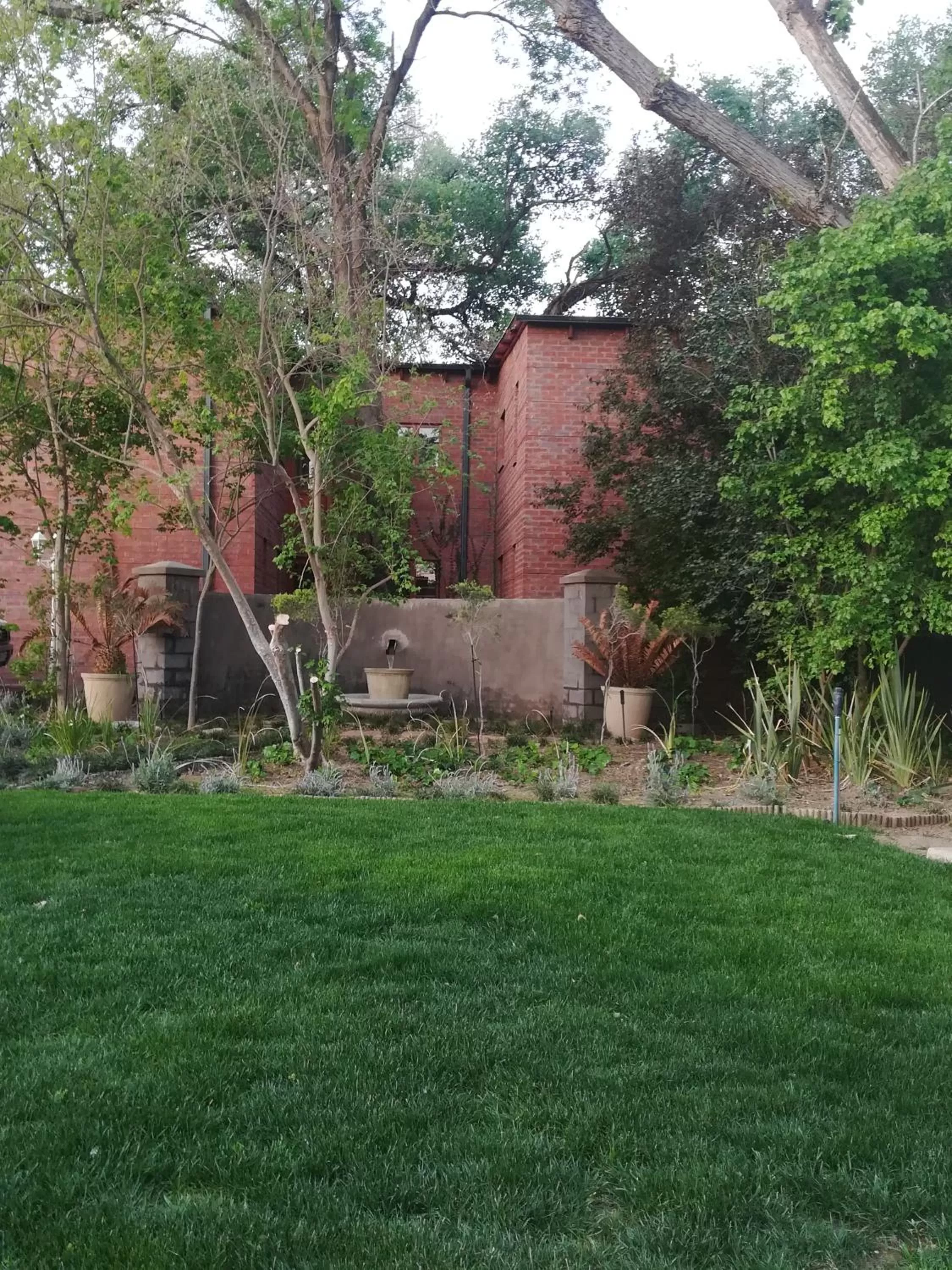 Garden in Tranquil House B&B @ 121 Berry St