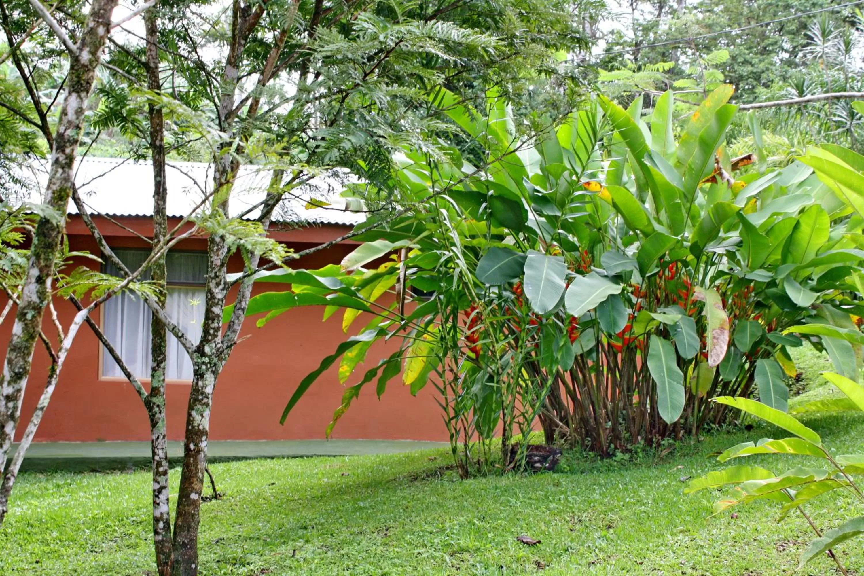 Garden in Cabañas Green House