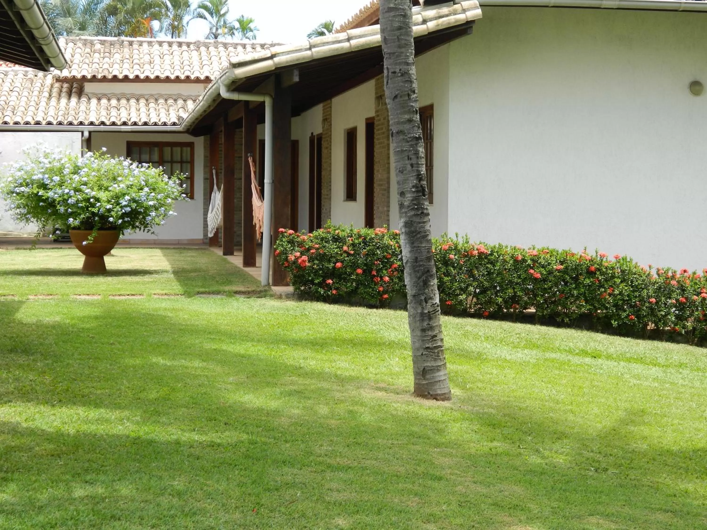Day, Garden in Hotel Pousada Salvador Paradise