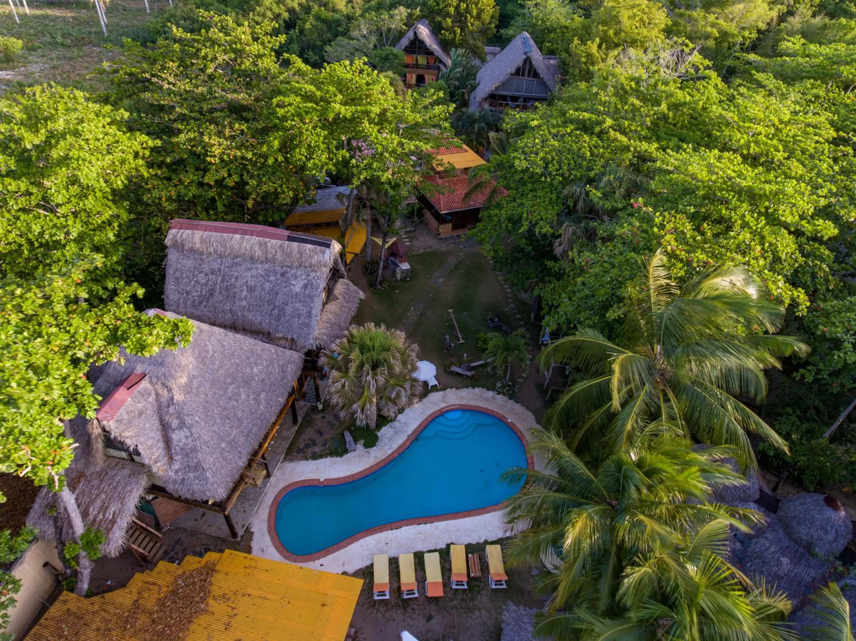Bird's eye view in Cabarete Maravilla Eco Lodge Boutique Beach Surf Encuentro, Kite, by AA Crypto Group