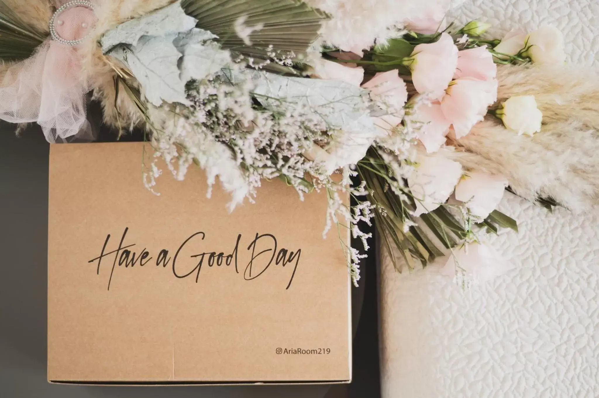 AriaRoom219 AriaRoom219