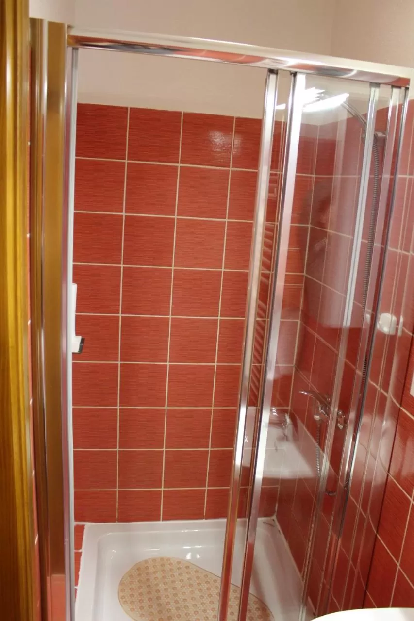 Shower, Bathroom in Wellness B&B Winery Sontacchi