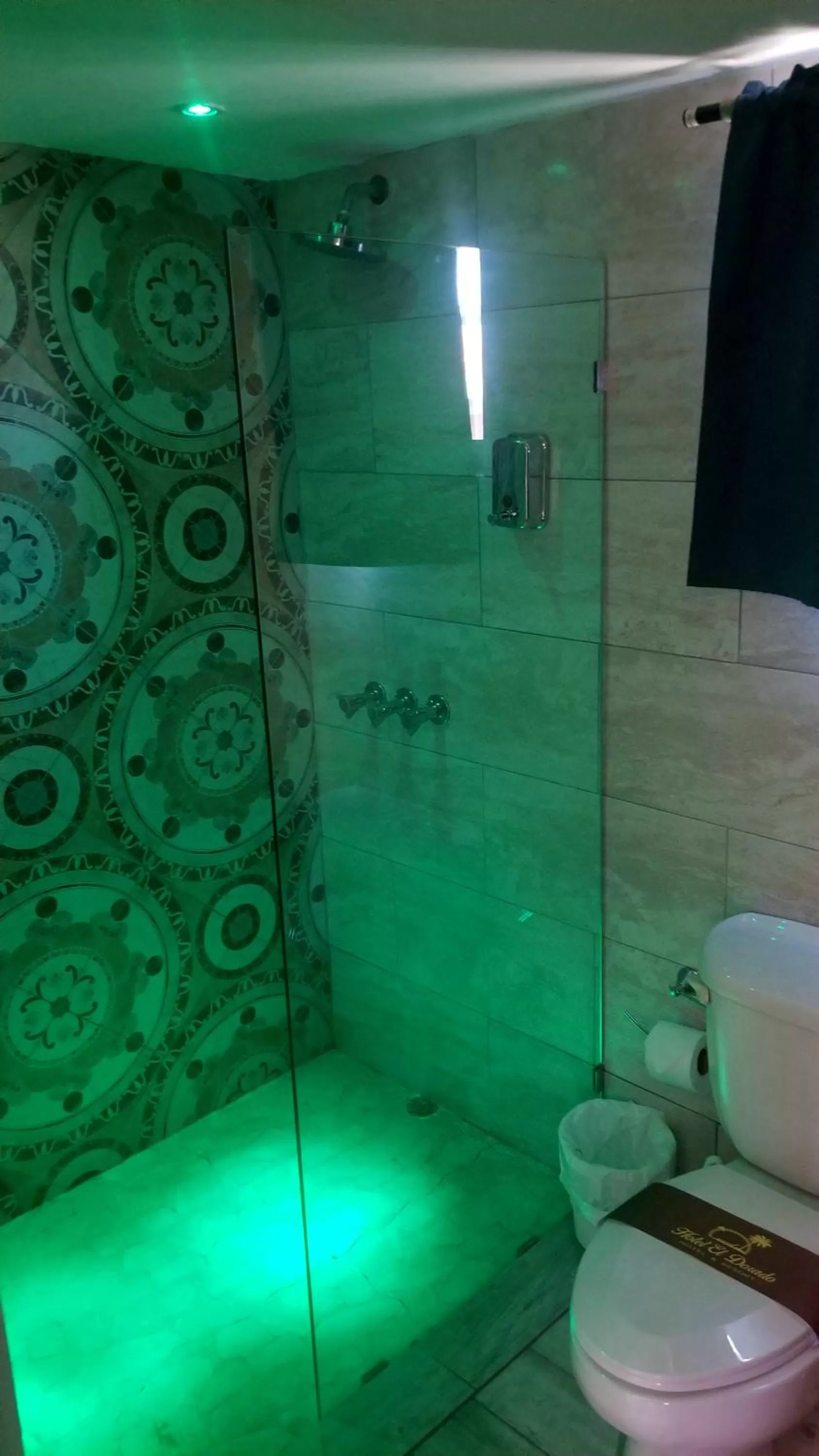 Shower, Bathroom in Hotel El Dorado