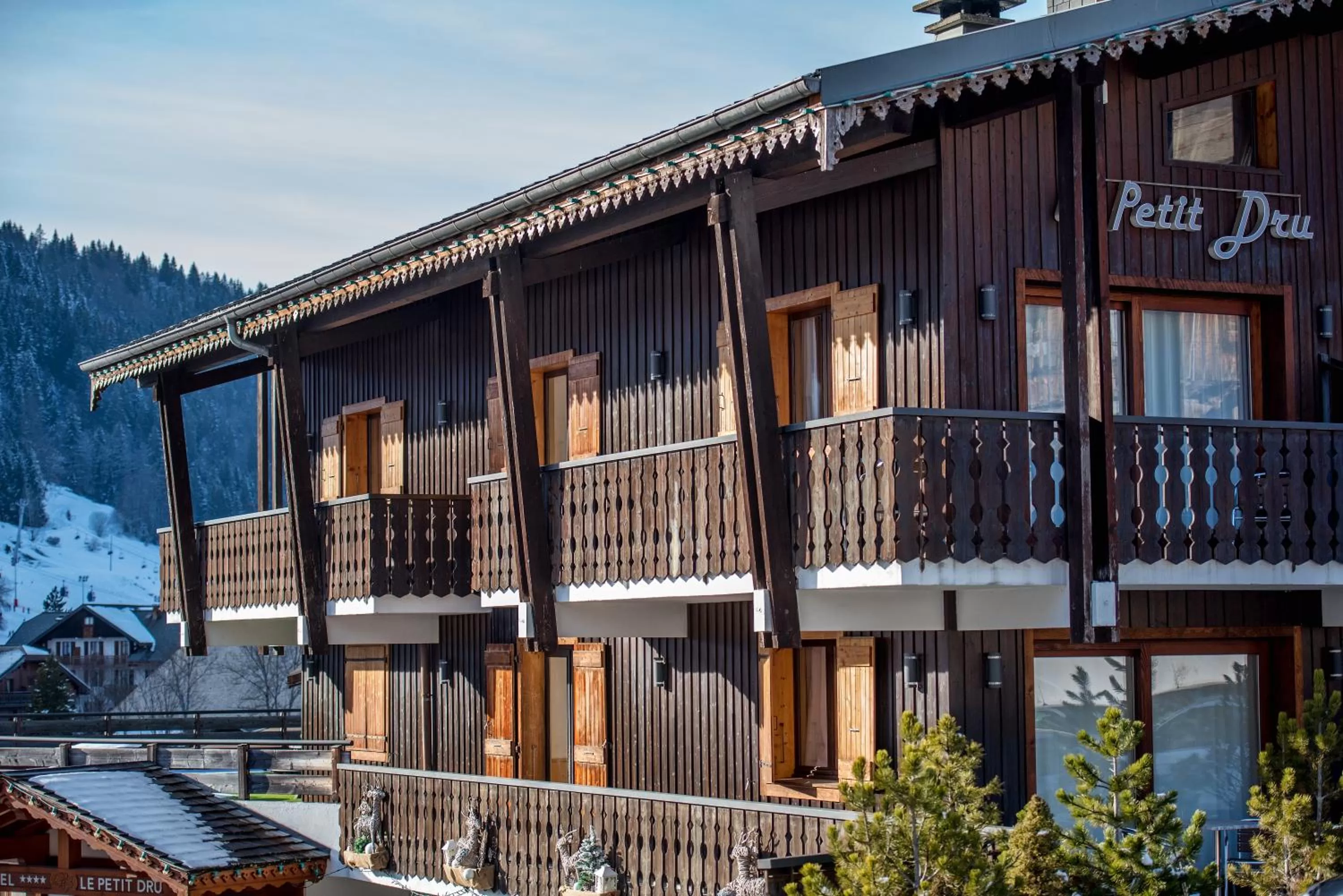 Facade/entrance in Hotel le Petit Dru