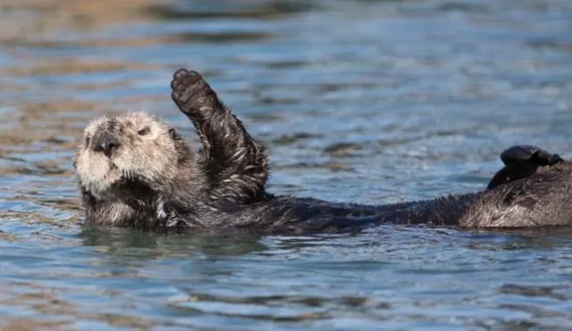 Front Street Inn and Spa