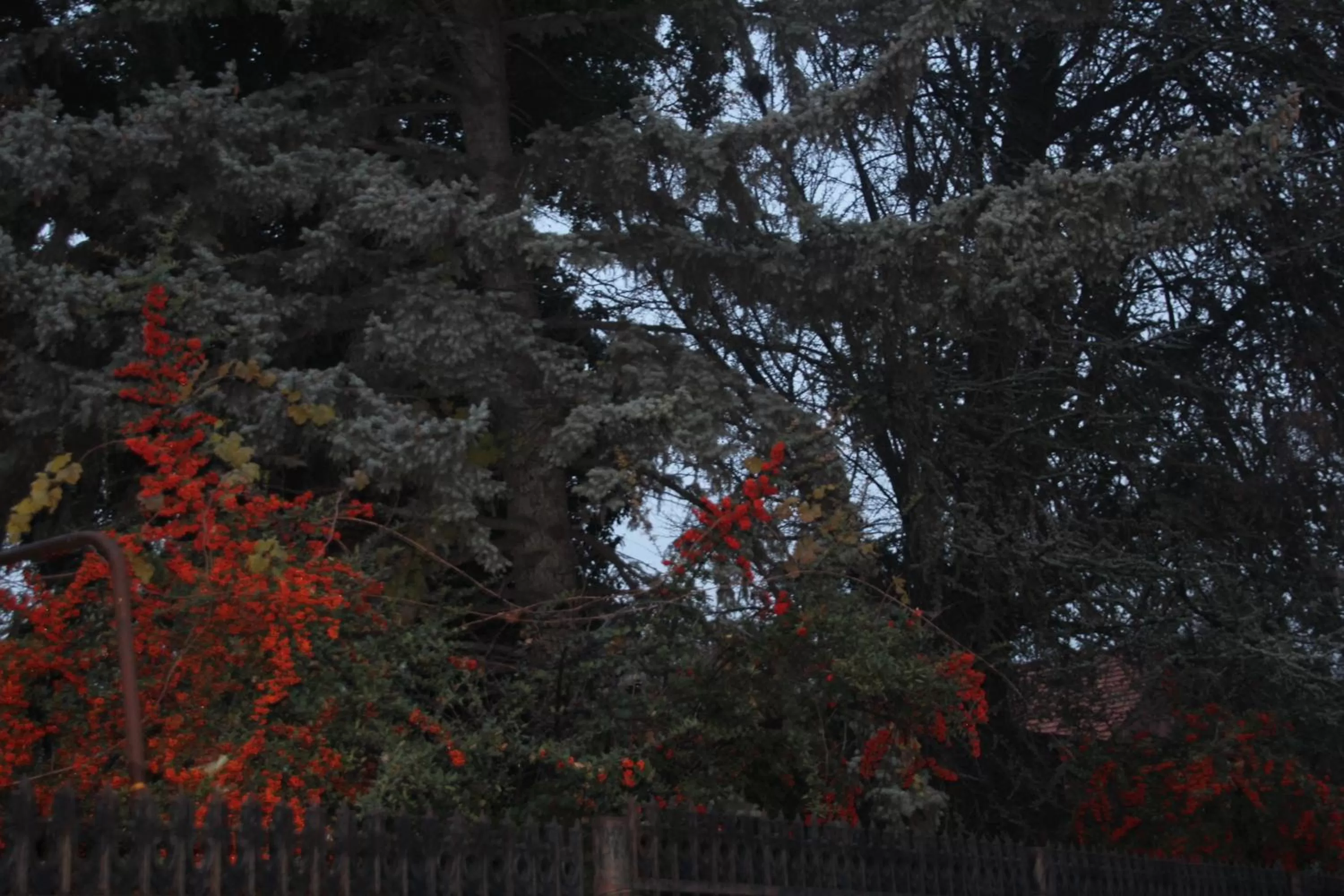 Other in Old Capital