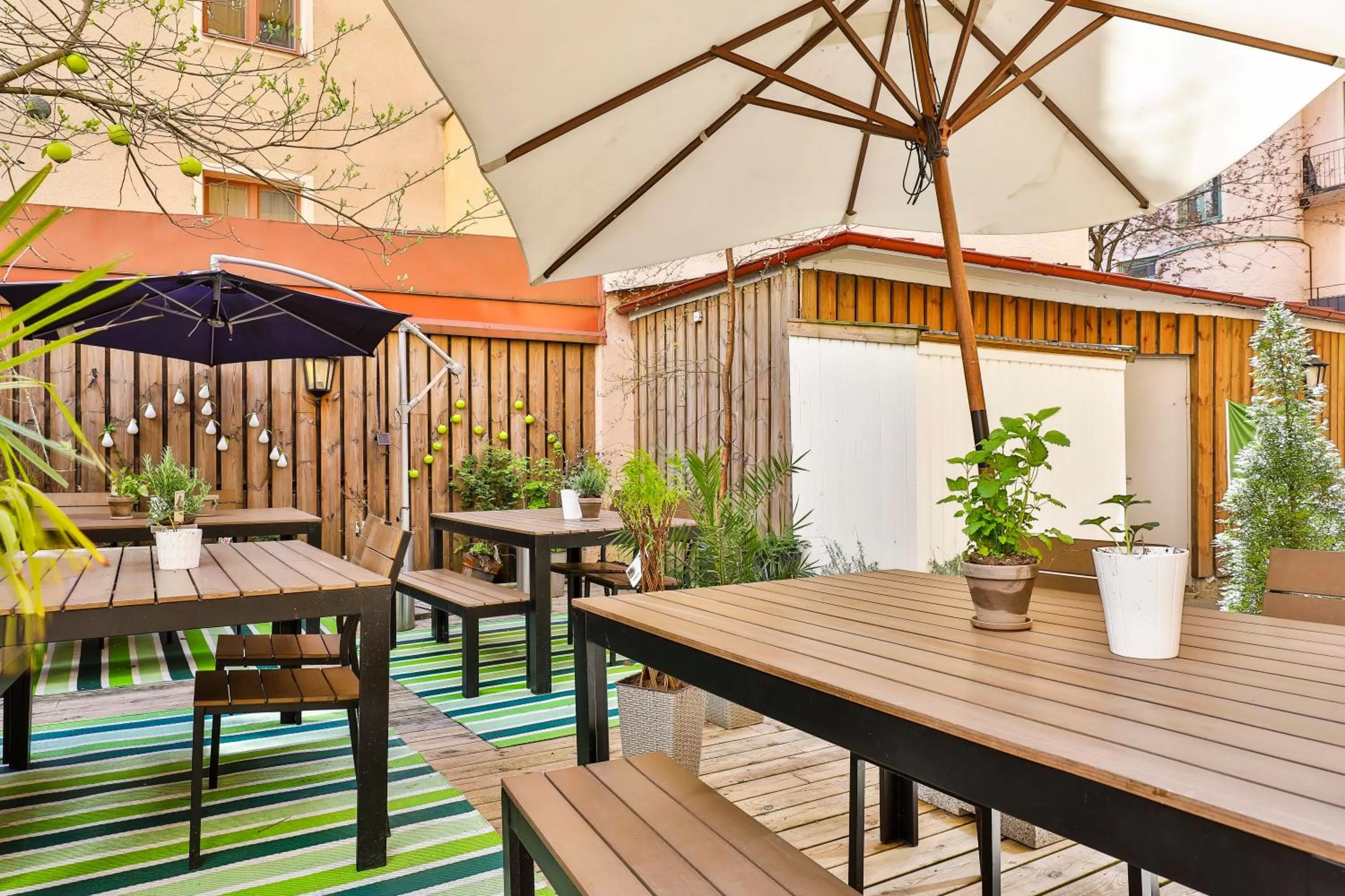 Area and facilities in Hotel Poseidon