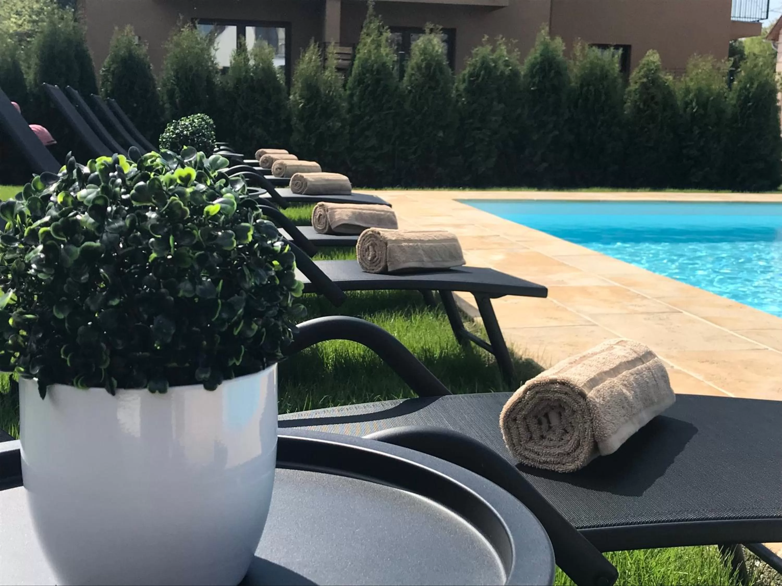 Swimming pool in Villa Aruba & Private SPA Suites