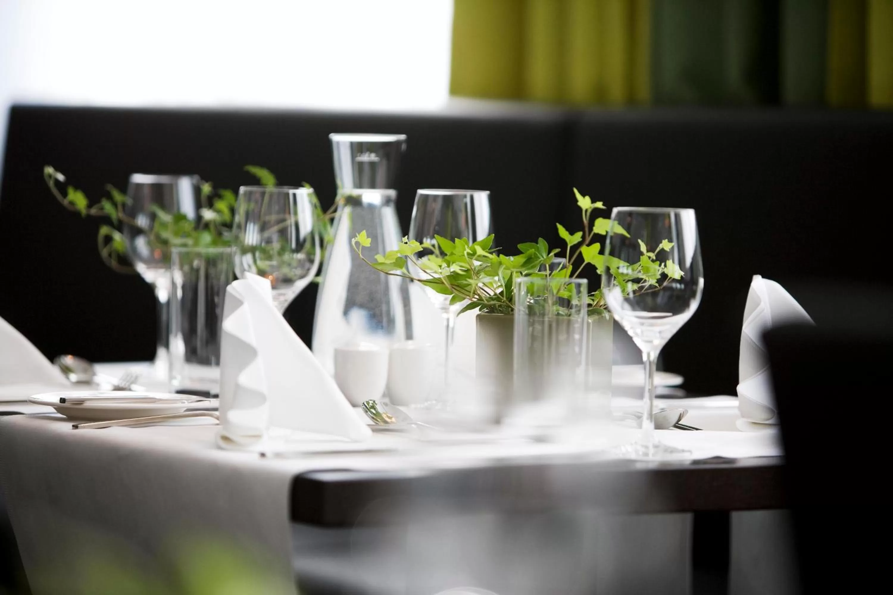 Restaurant/places to eat in Rainers Hotel Vienna