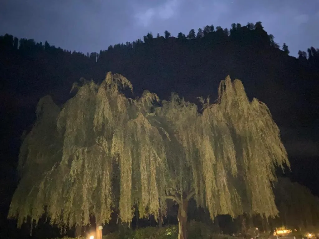 Solang Valley Resort