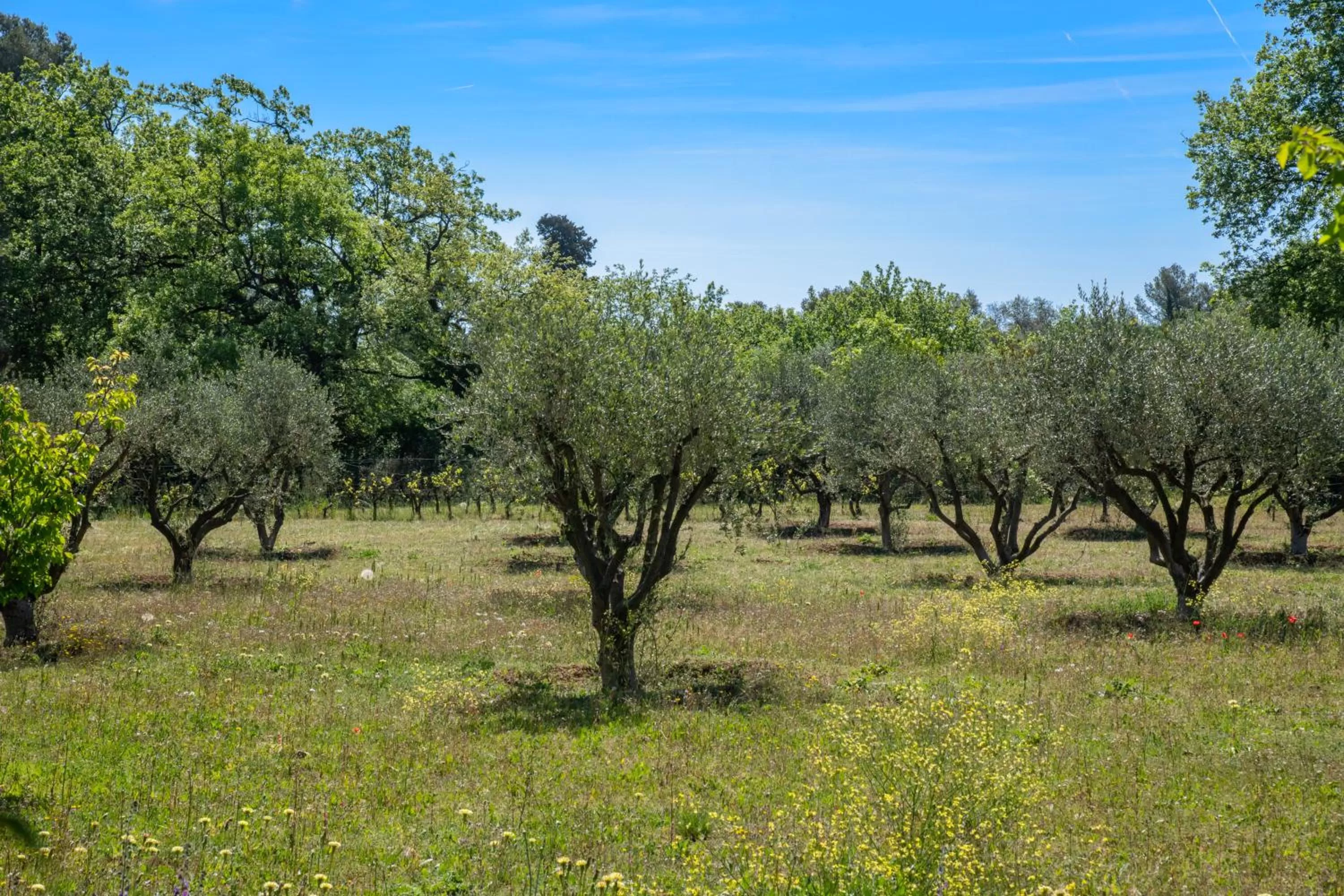 Garden view in Hotel Les Messugues