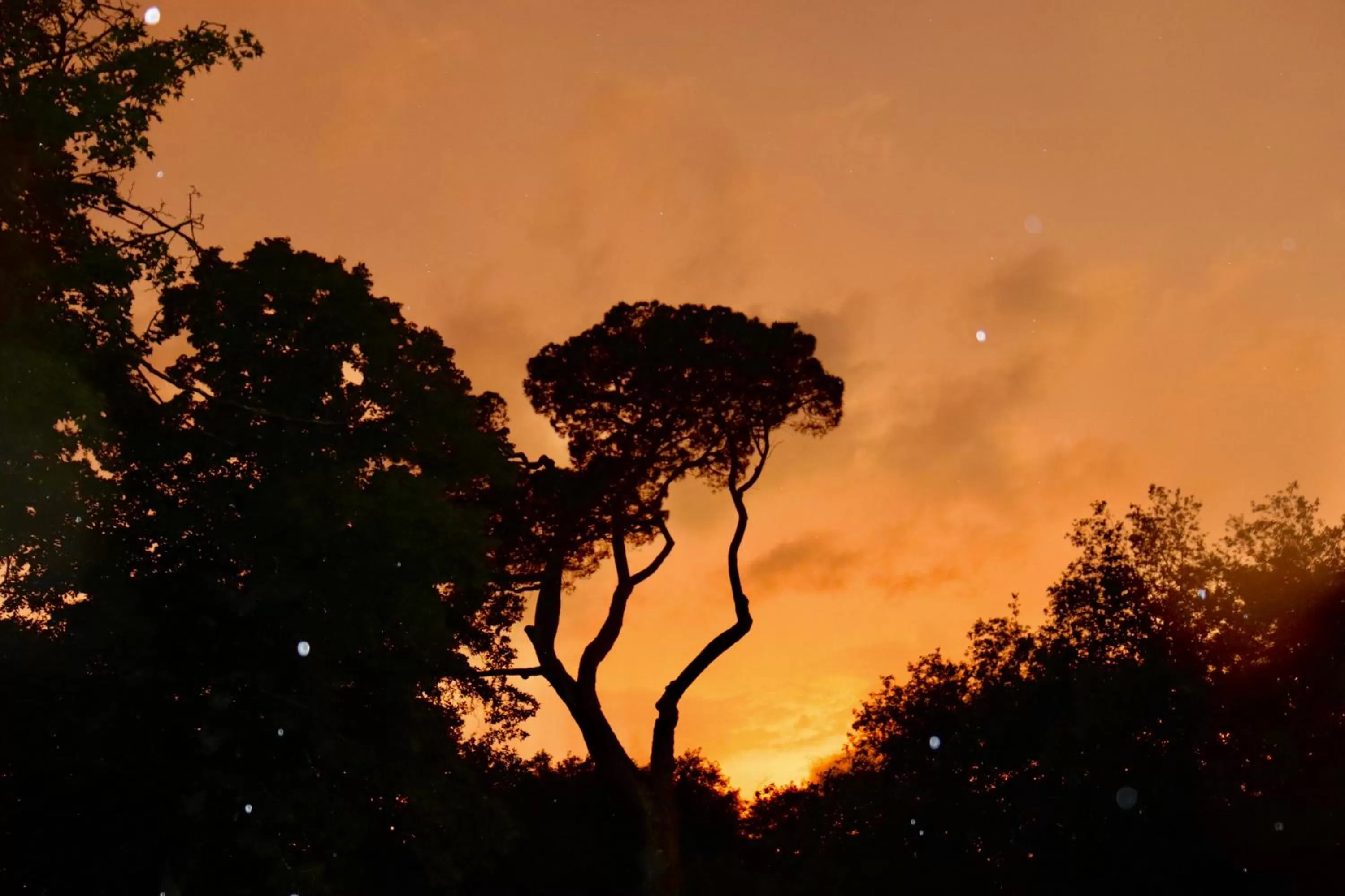 Maison D'hôtes Sainte-Marie