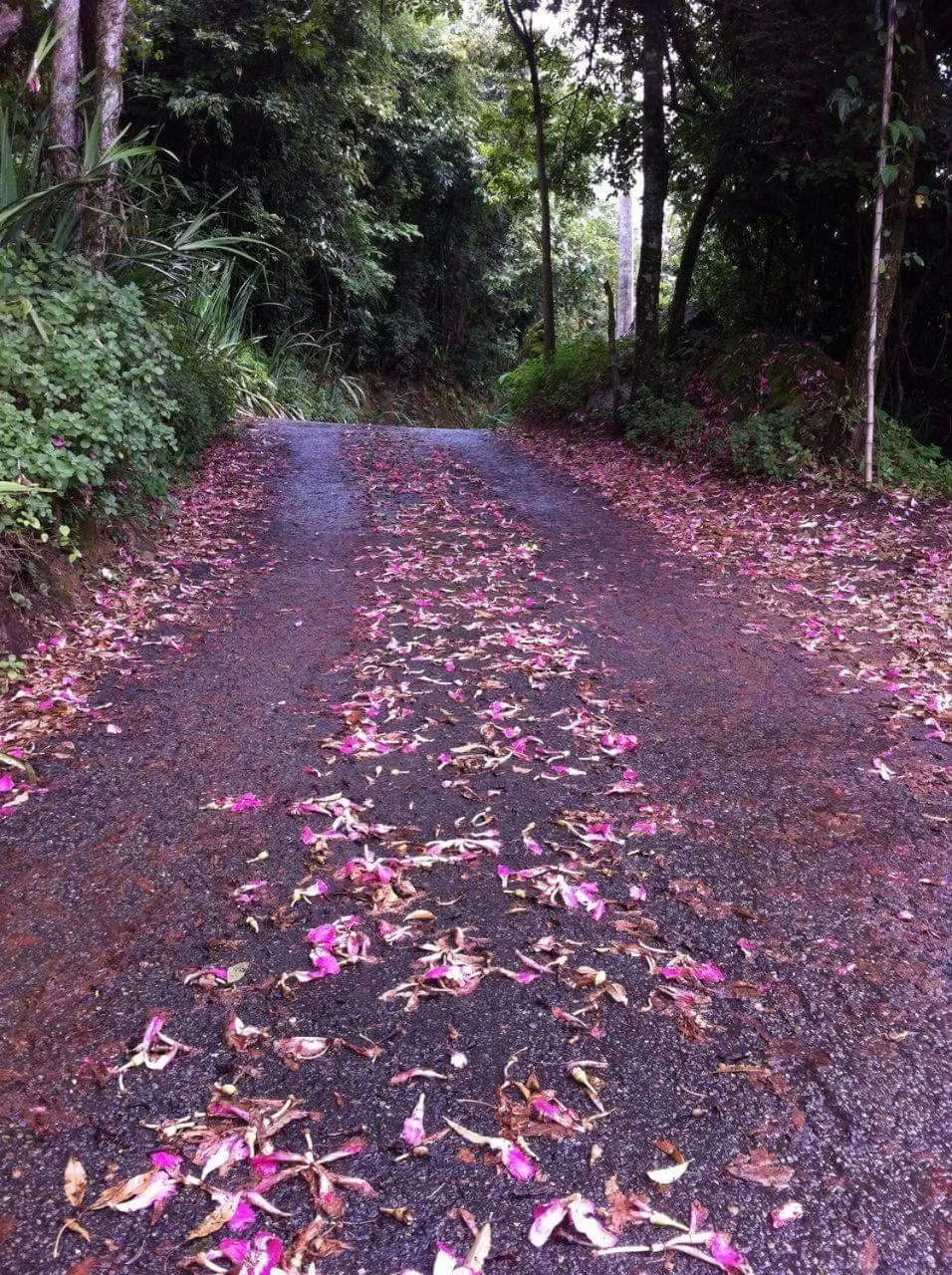Natural landscape in Pousada Spa Saúde Melhor