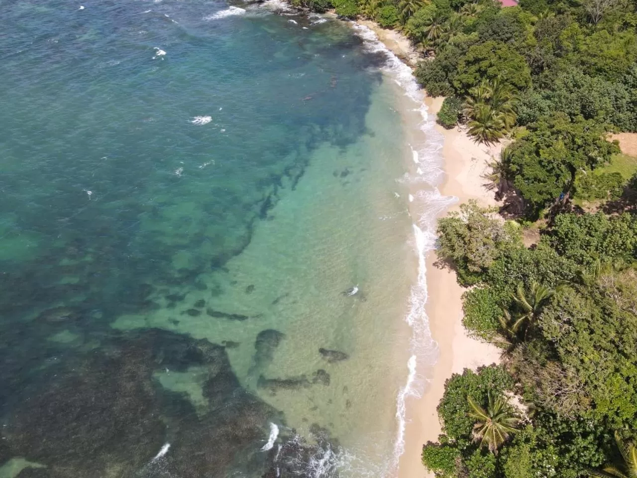 Beach, Bird's-eye View in Bird Island Bungalows