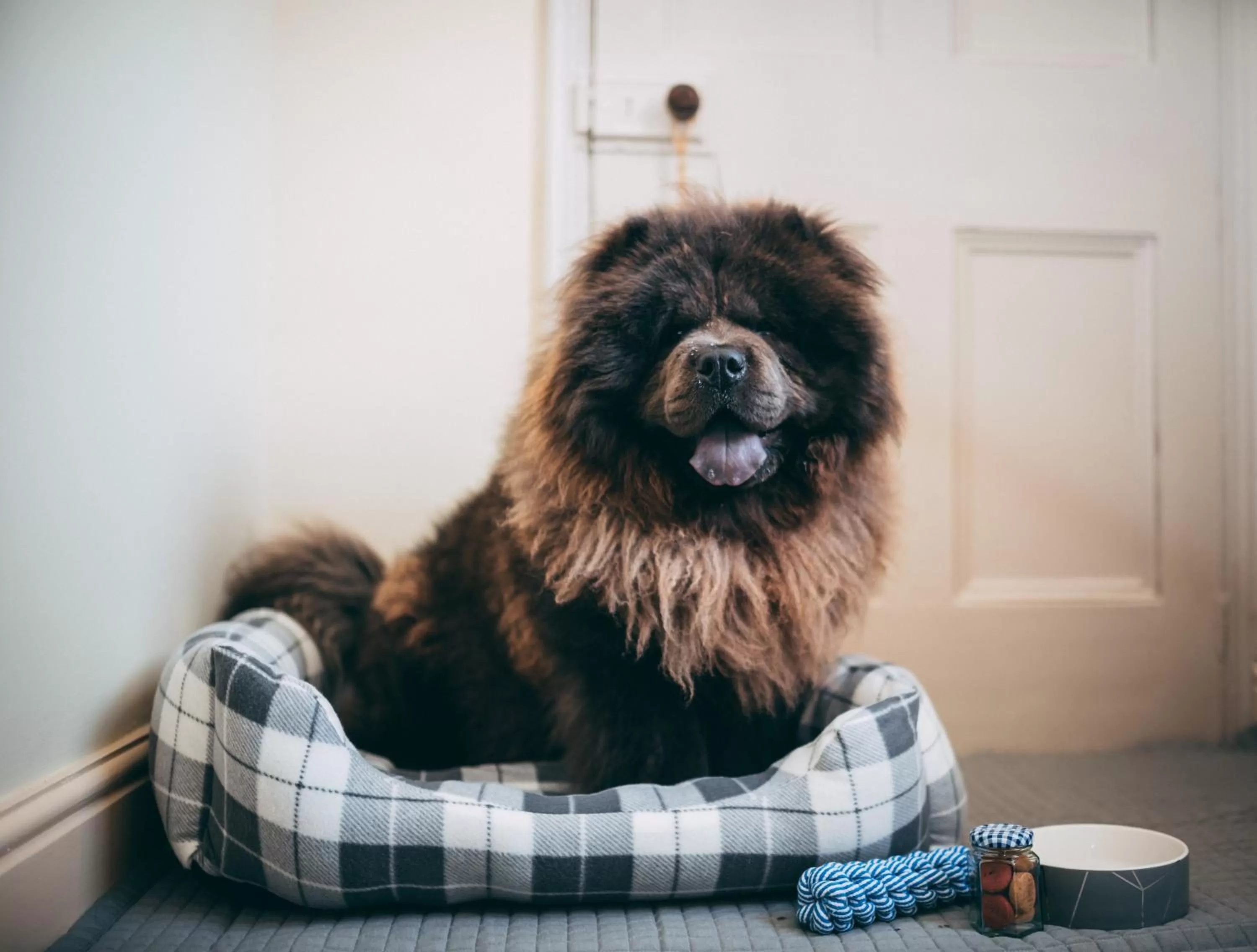 Dining area in Black Bull Hotel