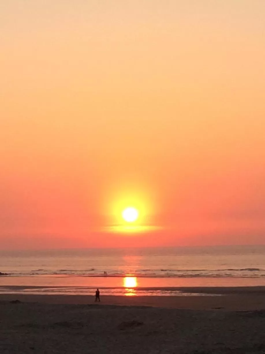 Natural landscape in B&B Geste d' Alice