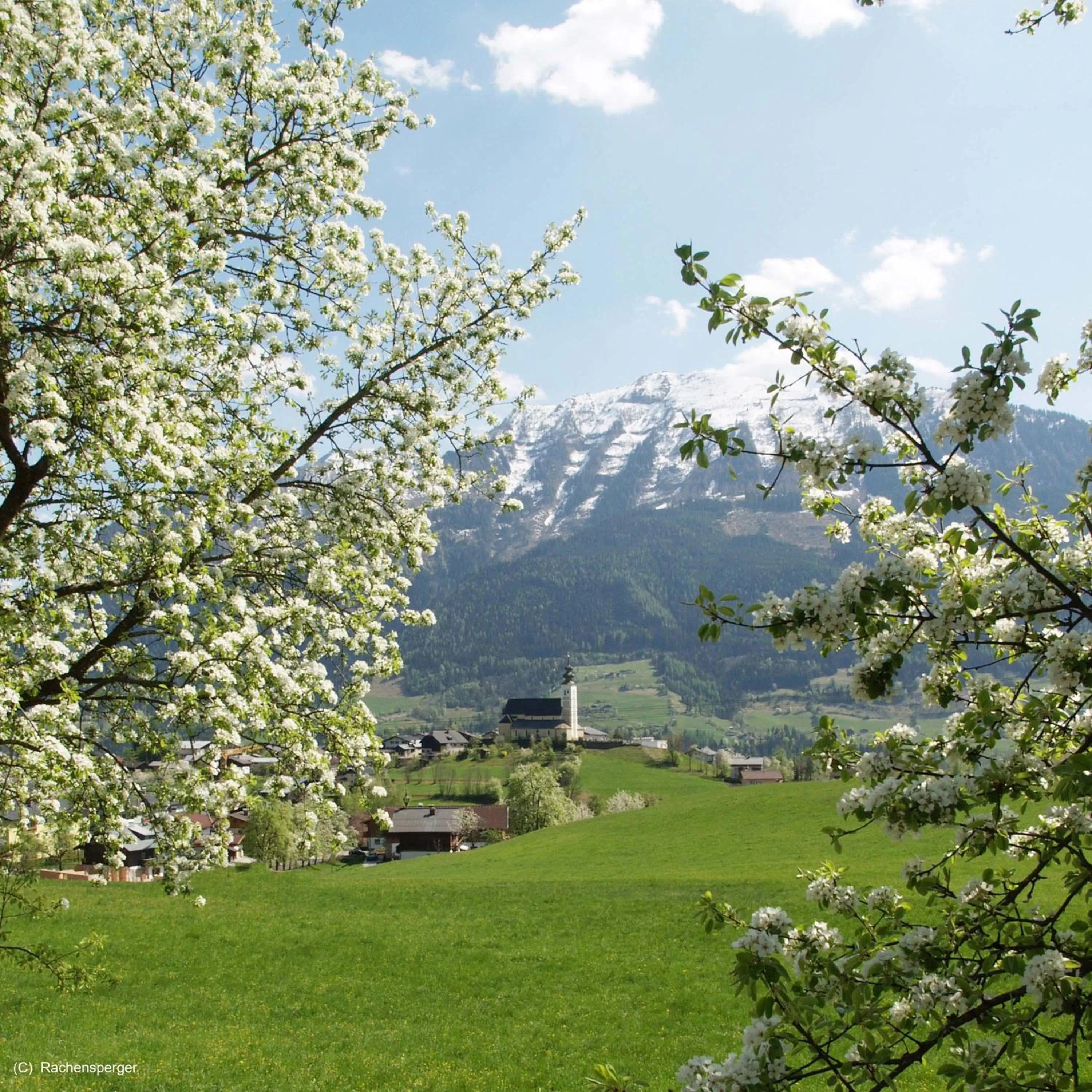 View (from property/room) in Hotel Silberfux